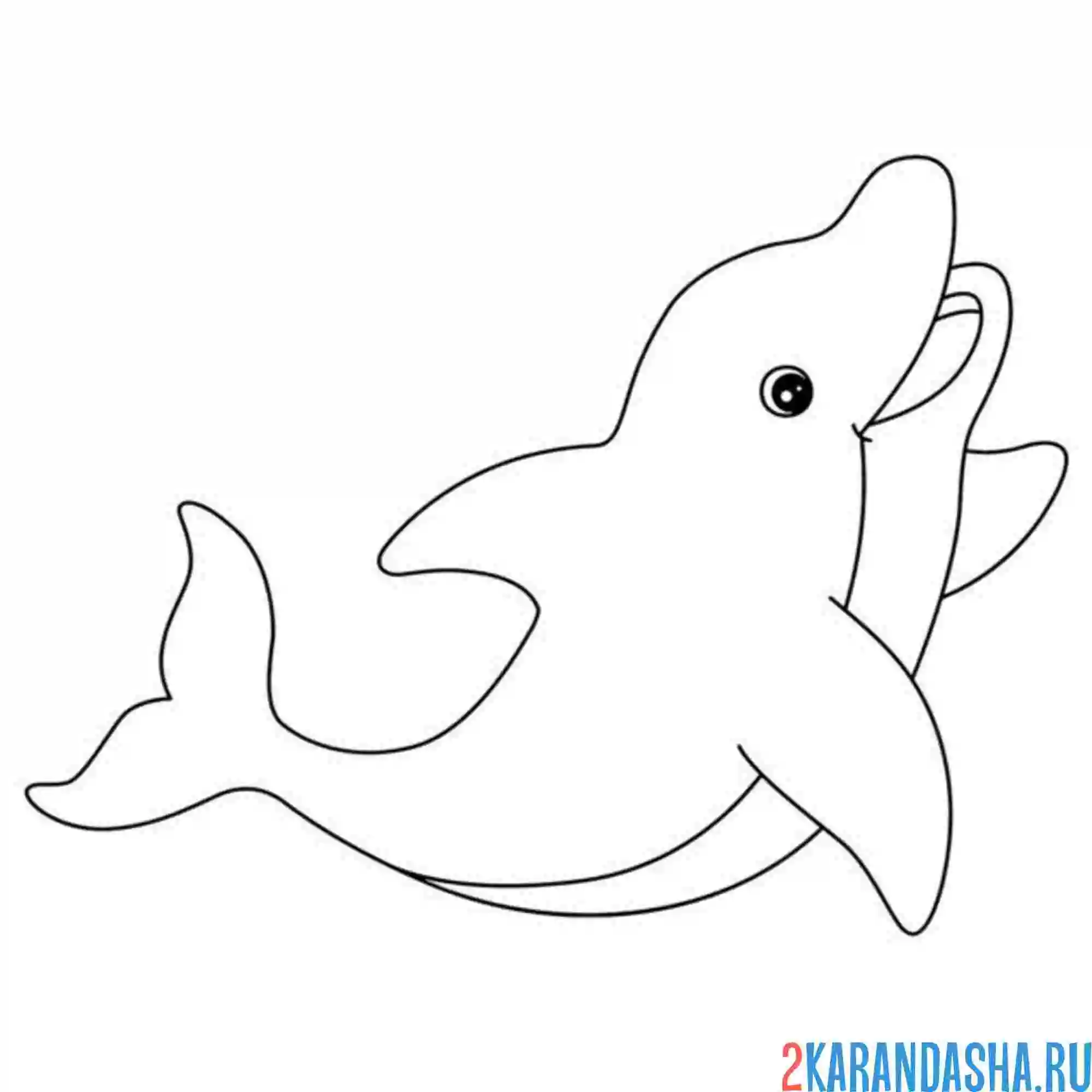 Раскраска очень красивый дельфин