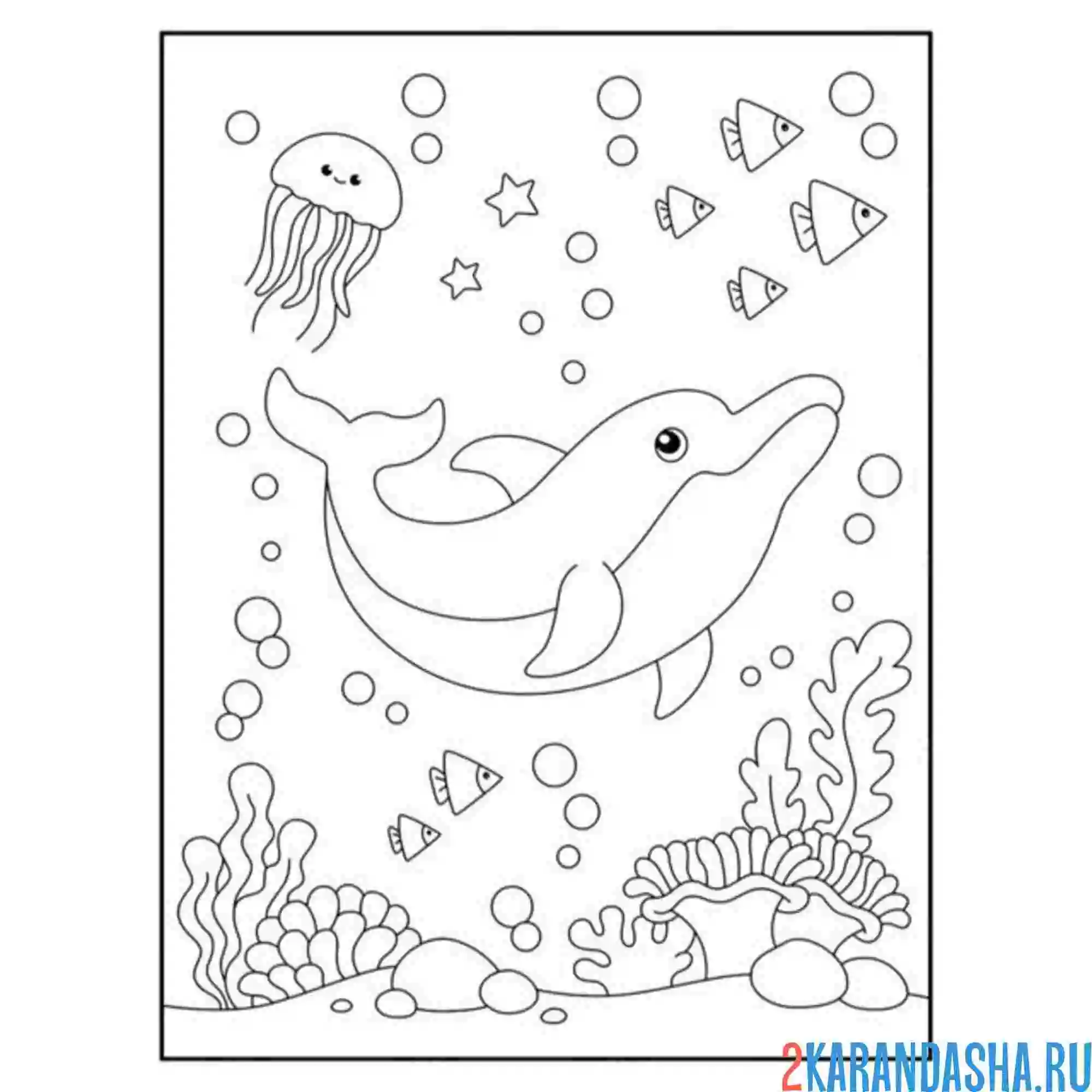 Раскраска дельфин под водой море