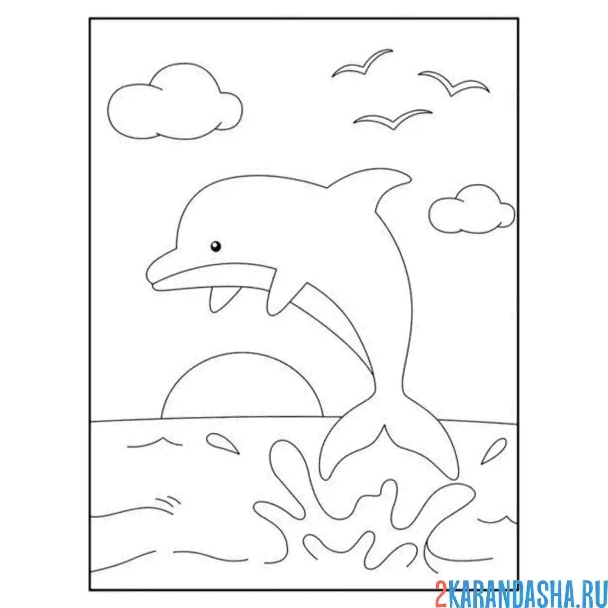 Раскраска дельфин закат море