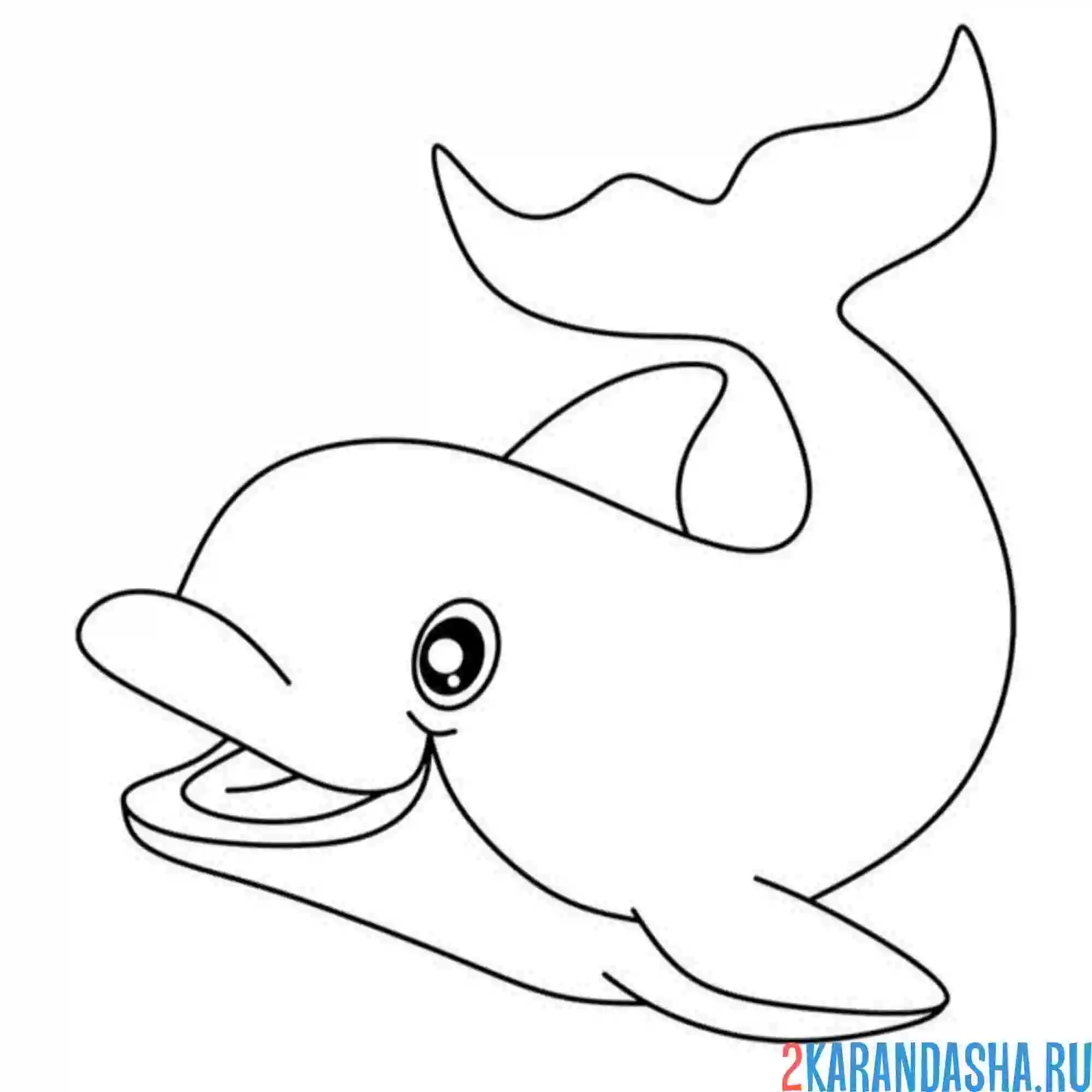 Раскраска улыбчивый дельфин