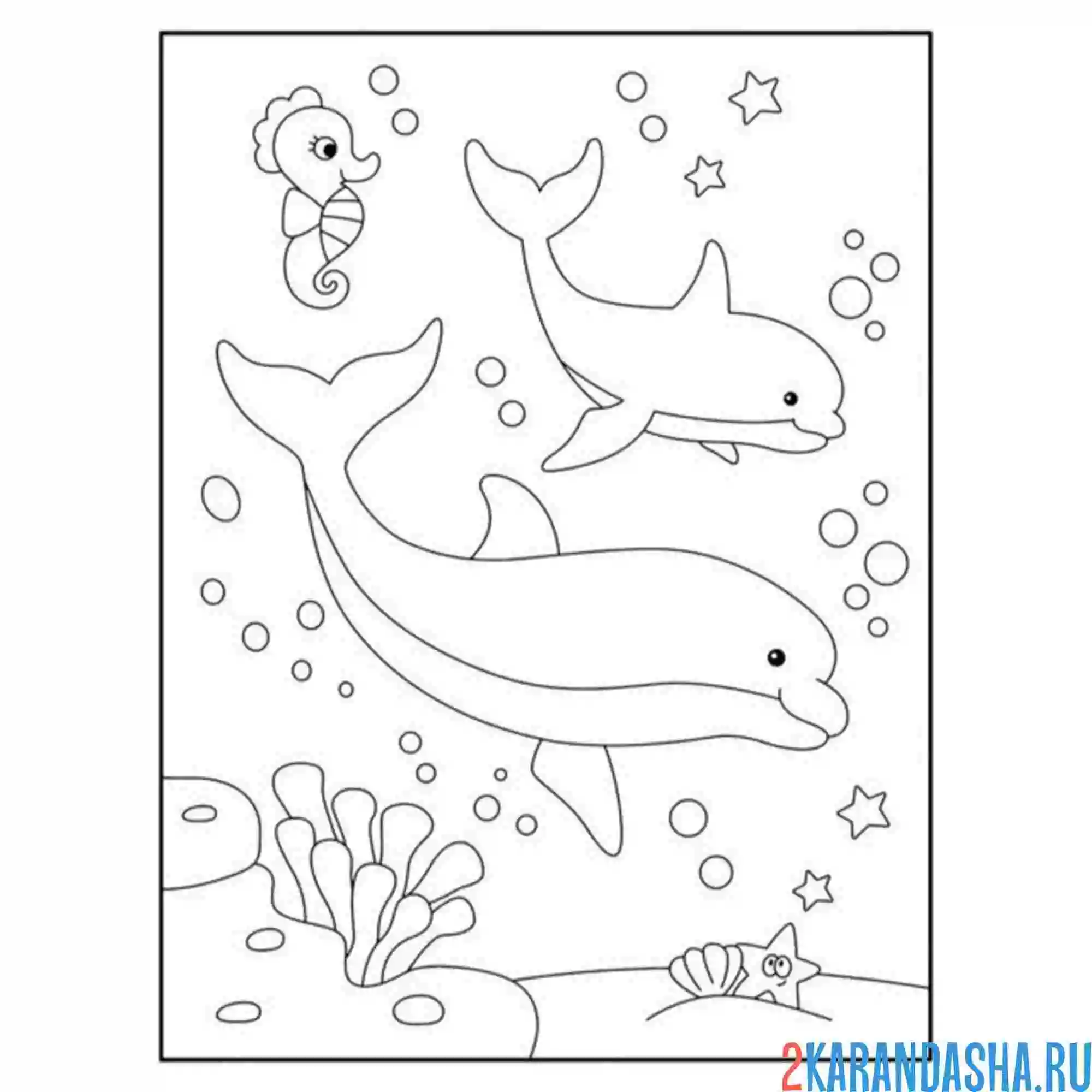 Раскраска два дельфина в море