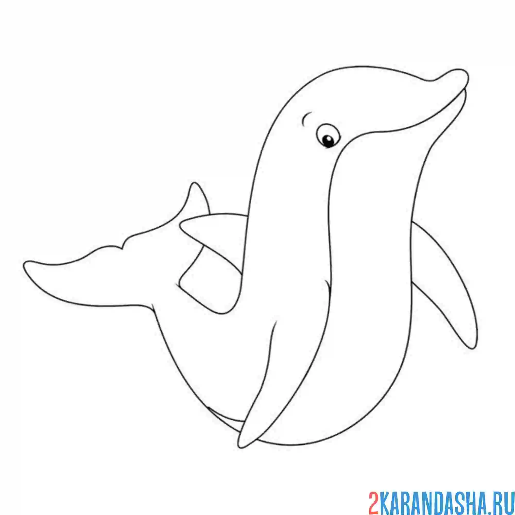 Раскраска симпатичный дельфин