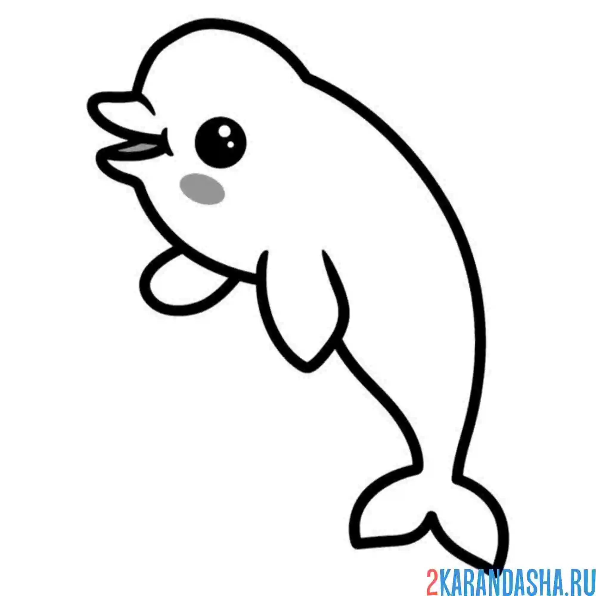 Раскраска дельфин афалина