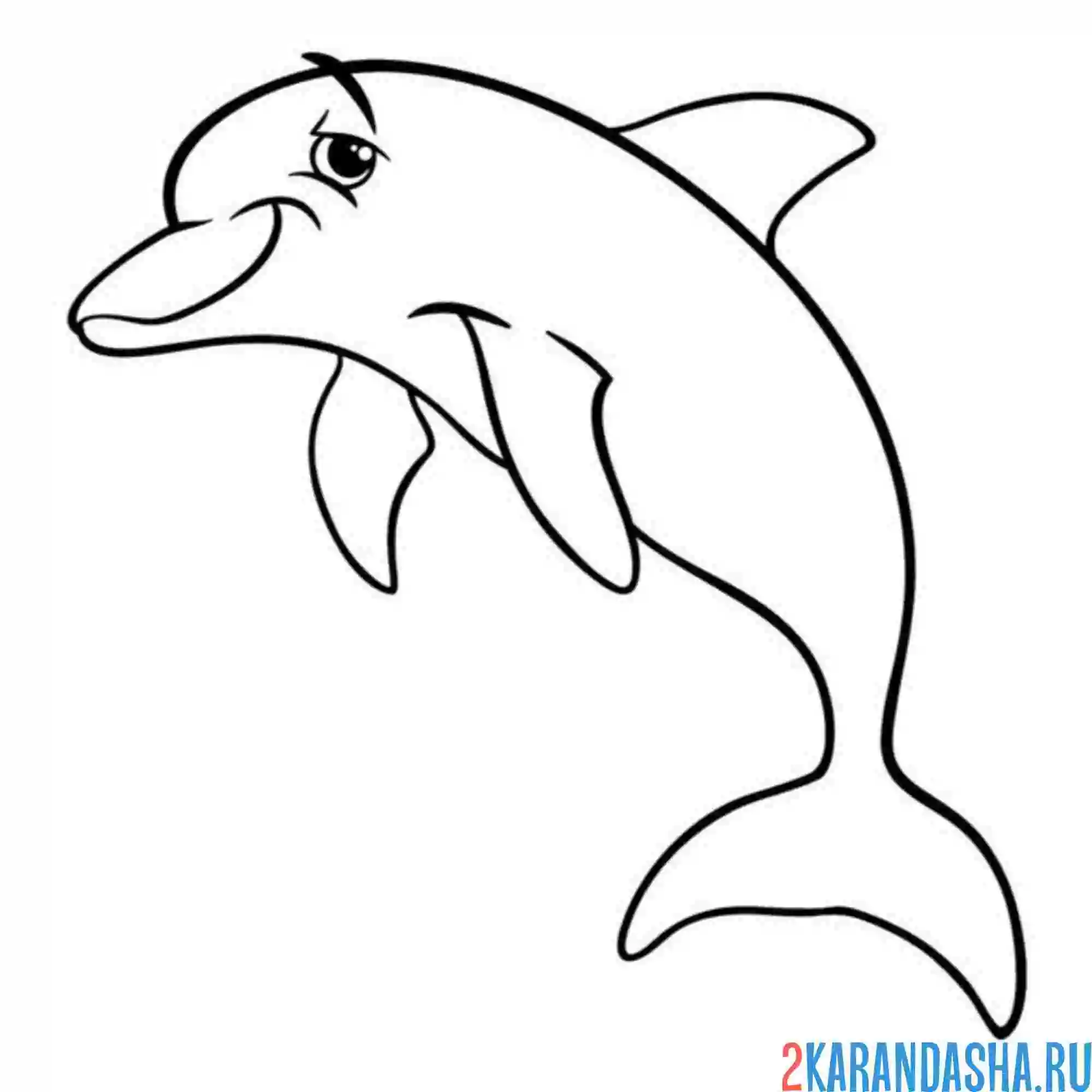 Раскраска дельфин подмигивает
