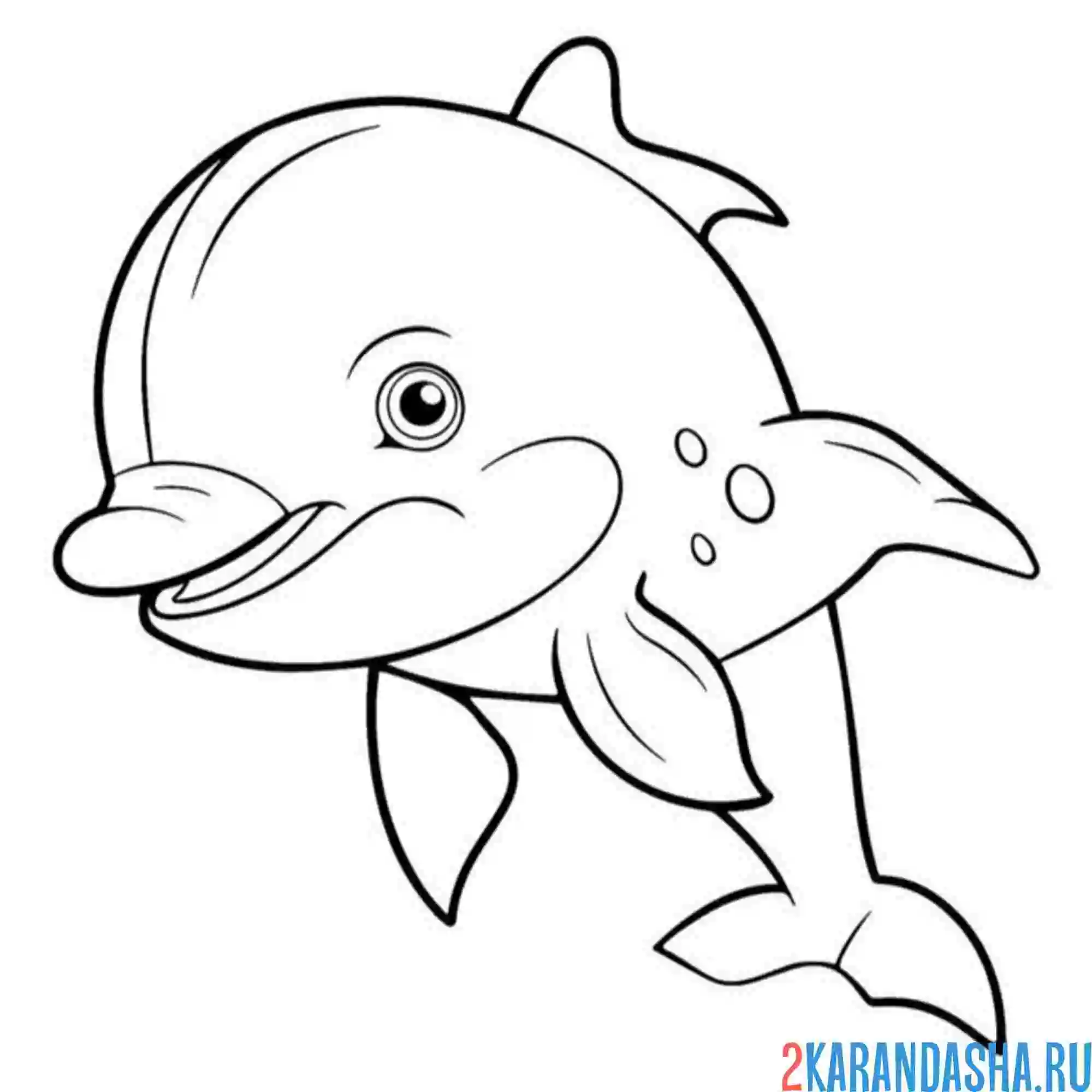 Раскраска дельфин выдуманный