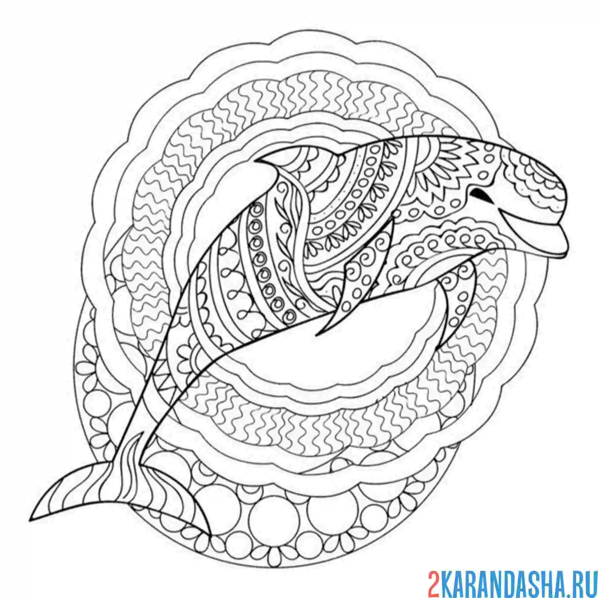 Раскраска арт антистресс дельфин