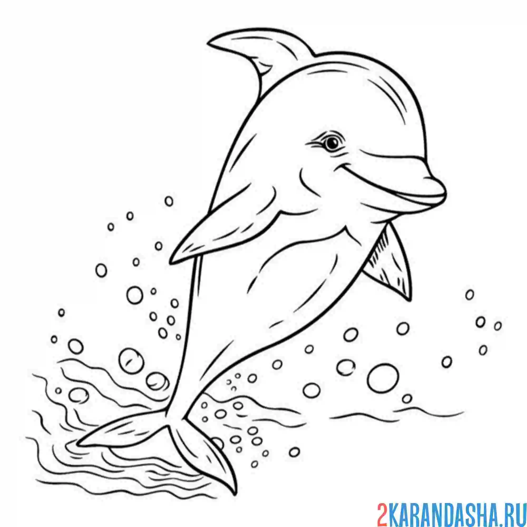 Раскраска дельфин как настоящий