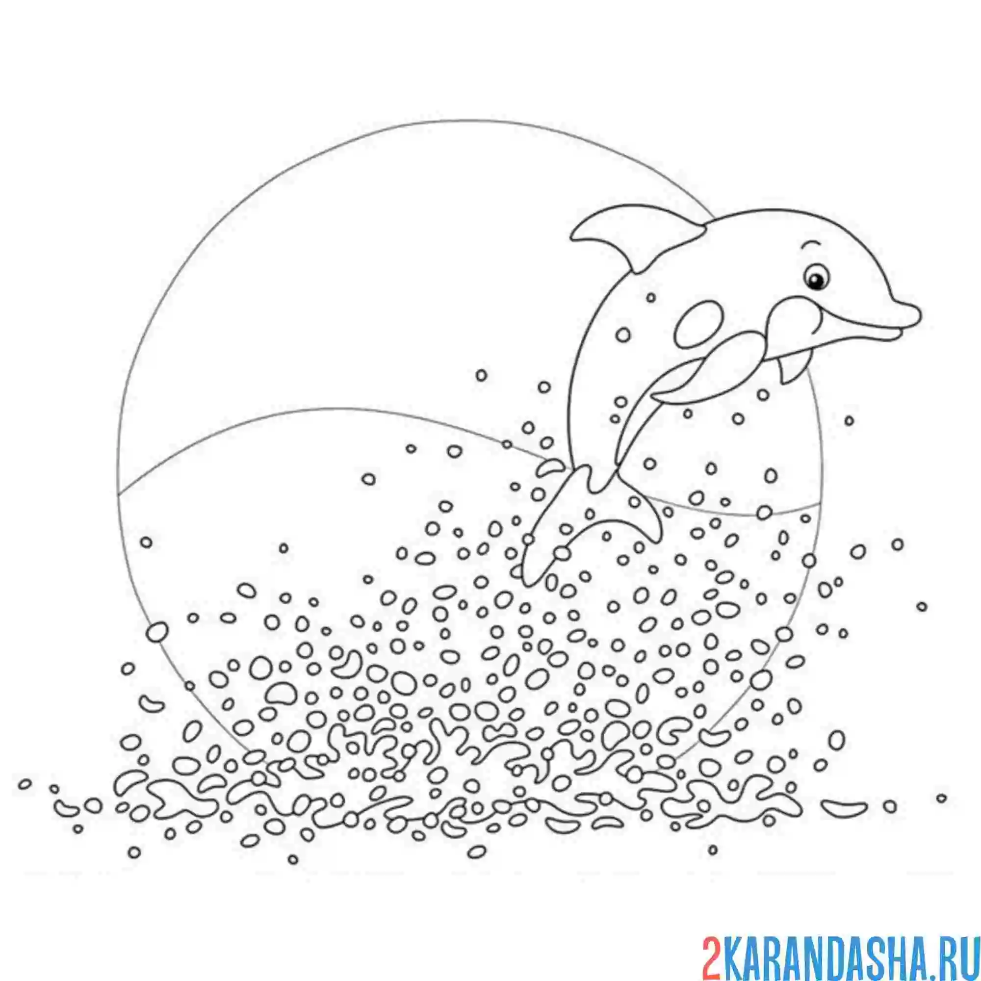 Раскраска дельфин и закатное солнце