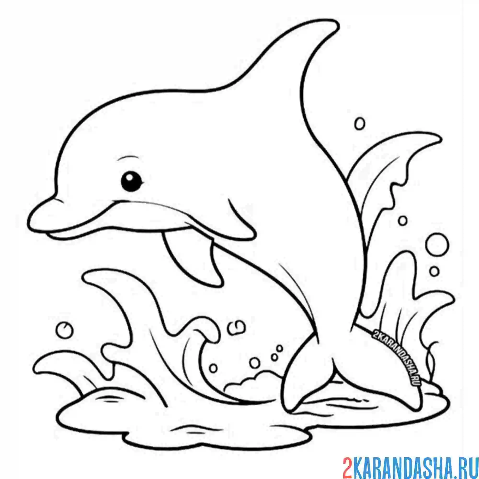 Раскраска дельфин и фирменный прыжок