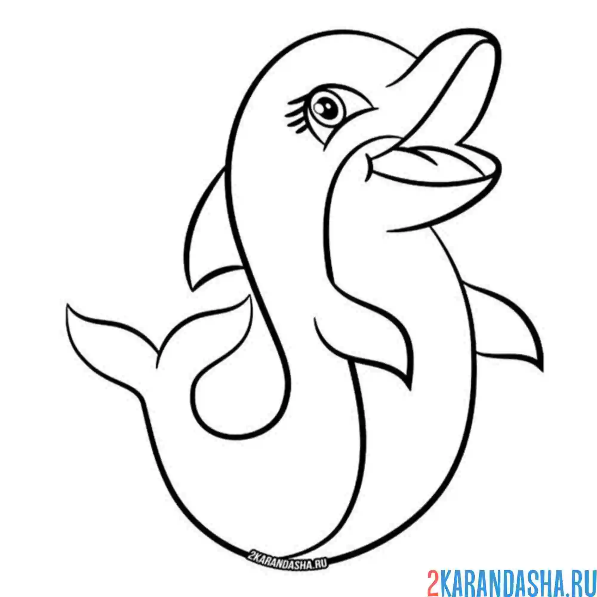 Раскраска дельфин смеется