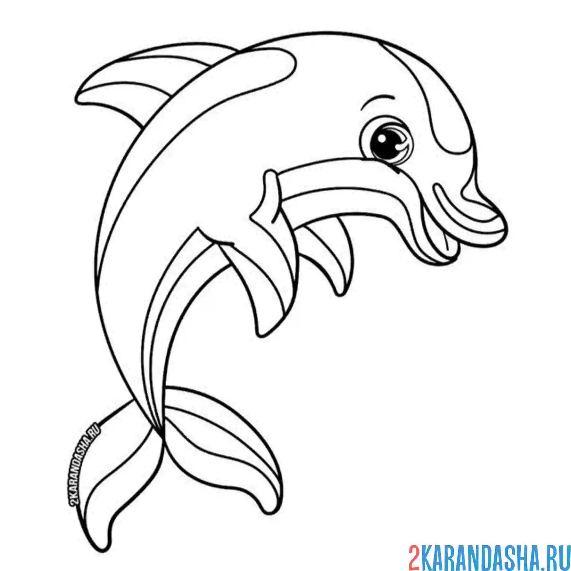 Раскраска милый дельфин