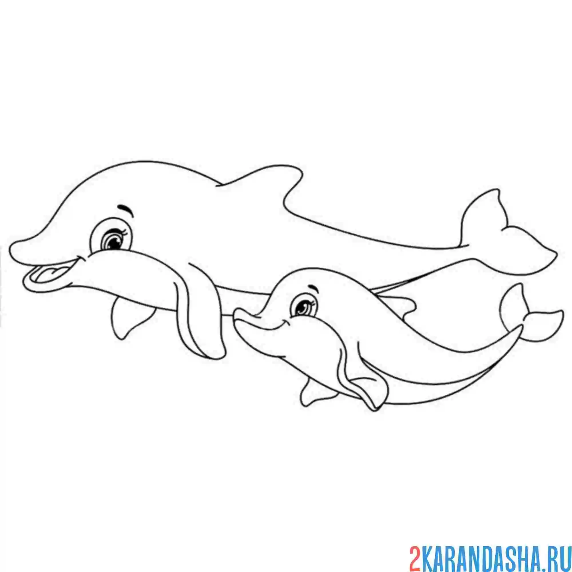 Раскраска красивая семья дельфинов
