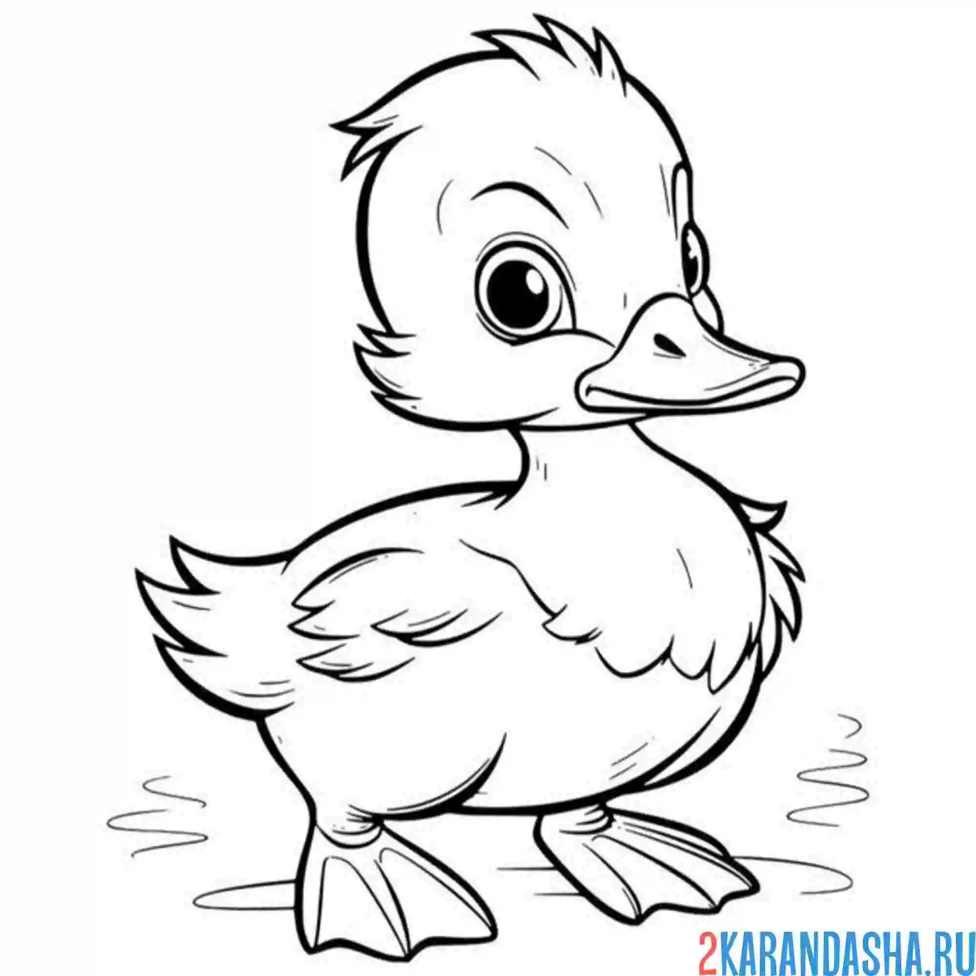 Раскраска симпатичный утенок