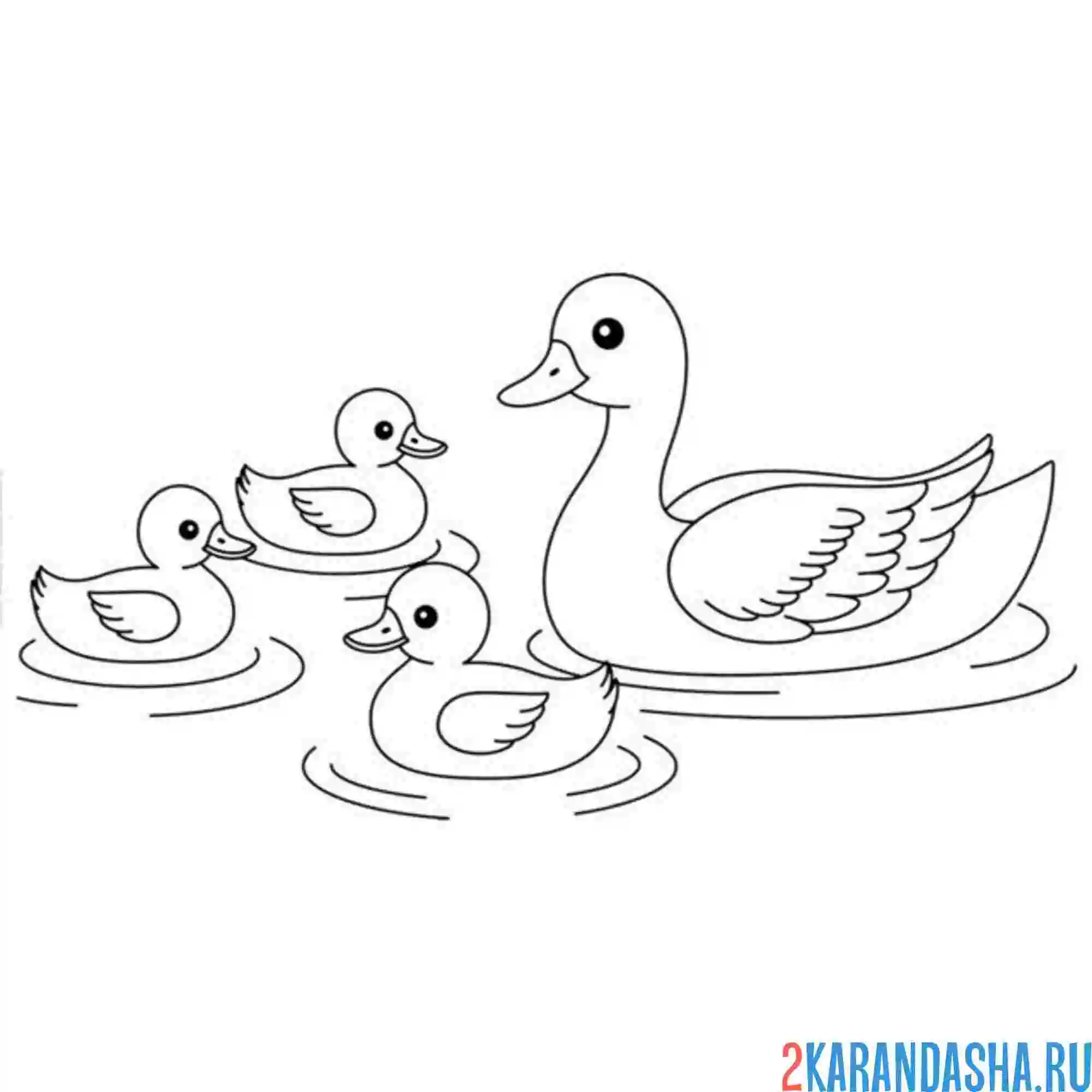 Раскраска семья утиная