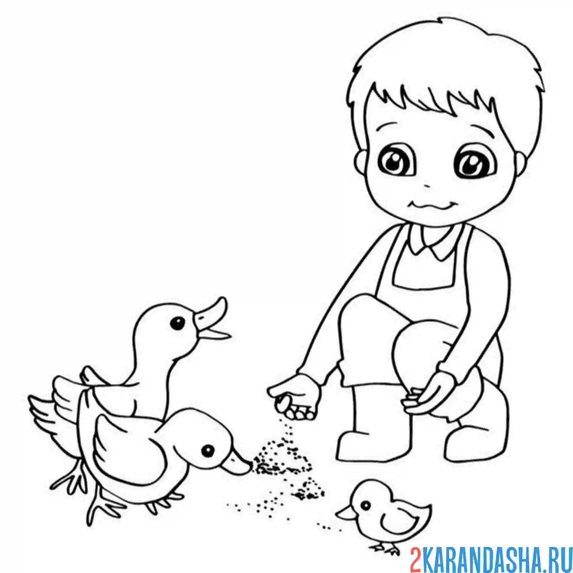 Раскраска мальчик кормит утят