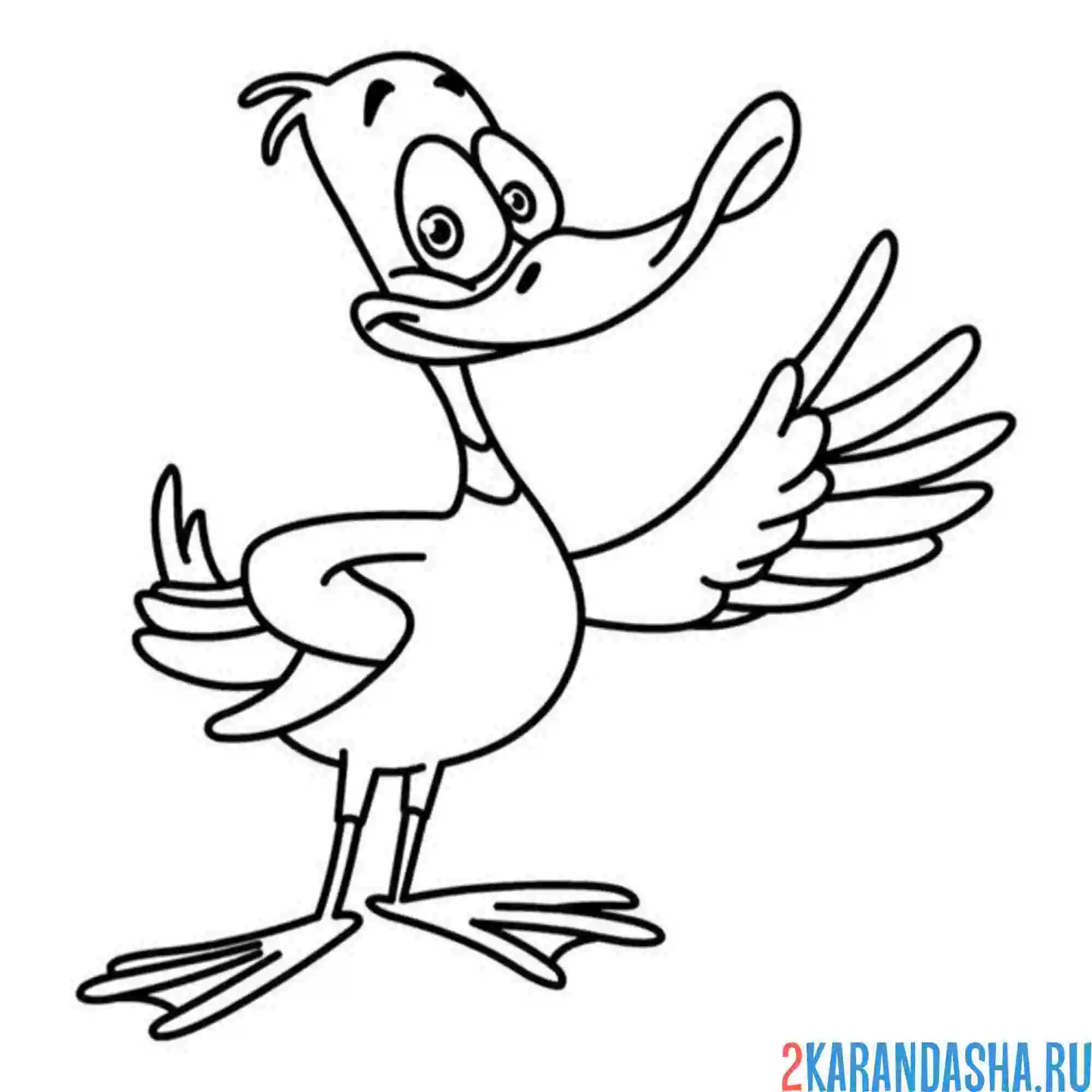 Раскраска утка мультяшная