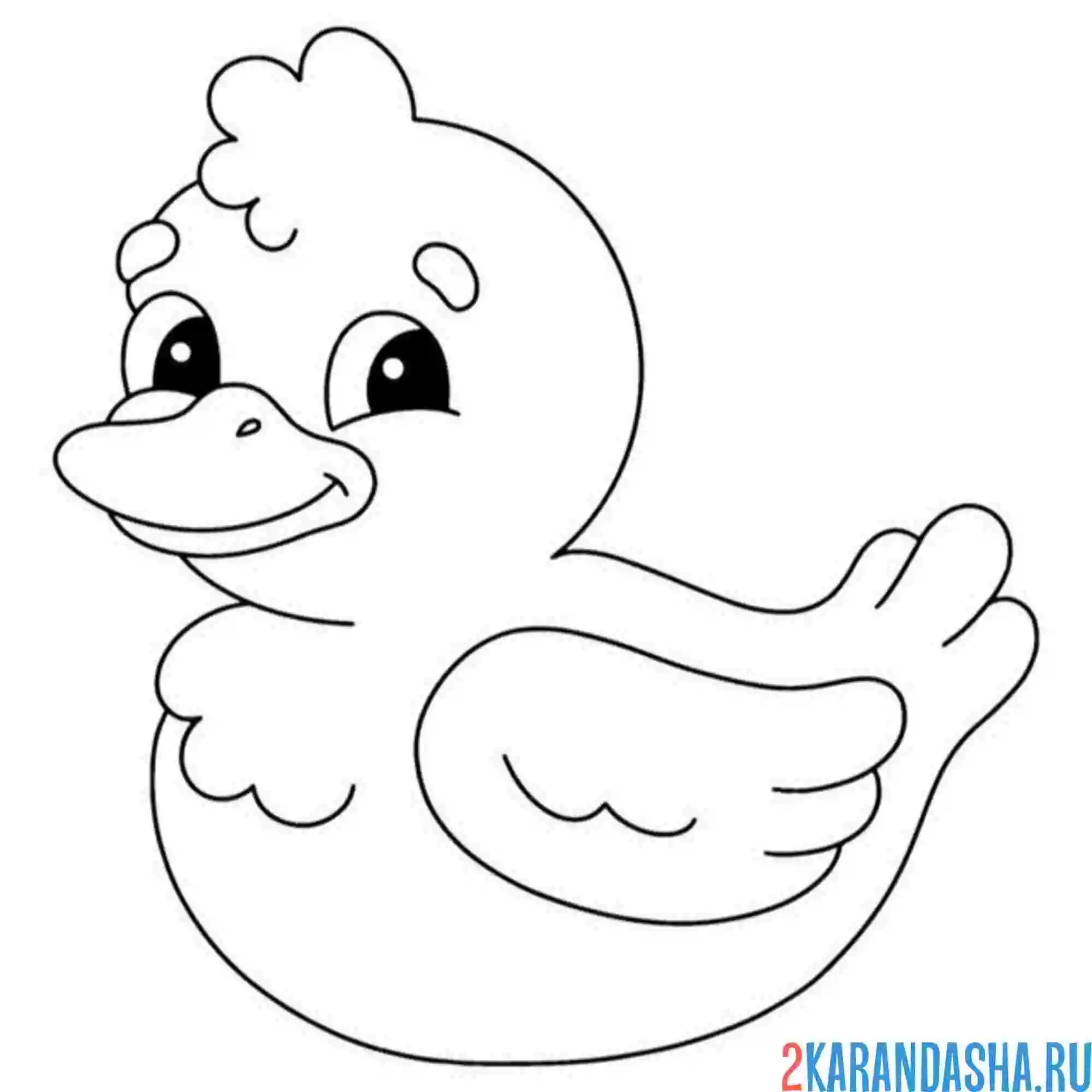 Раскраска молодой утенок