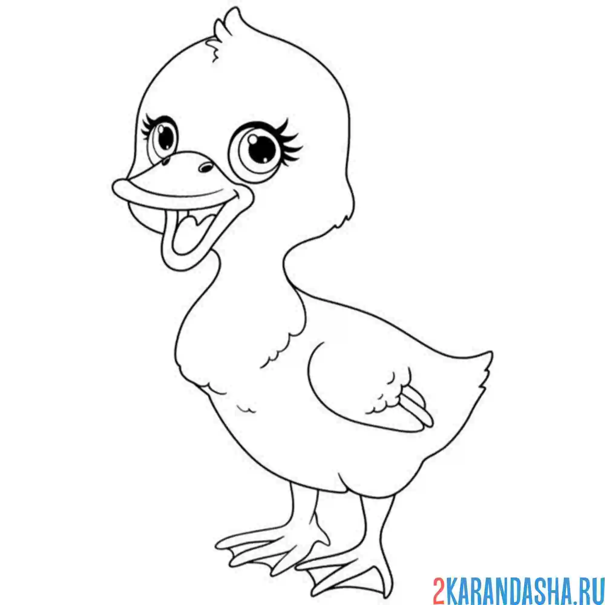 Раскраска утенок смеется