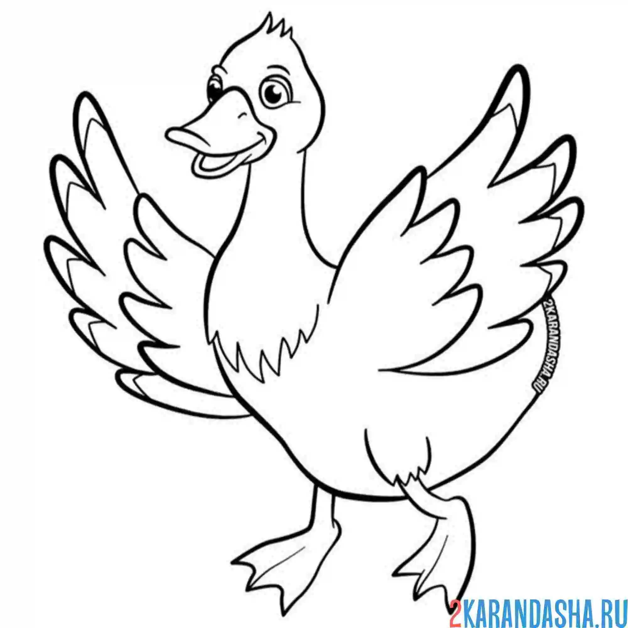 Раскраска утка взлетает