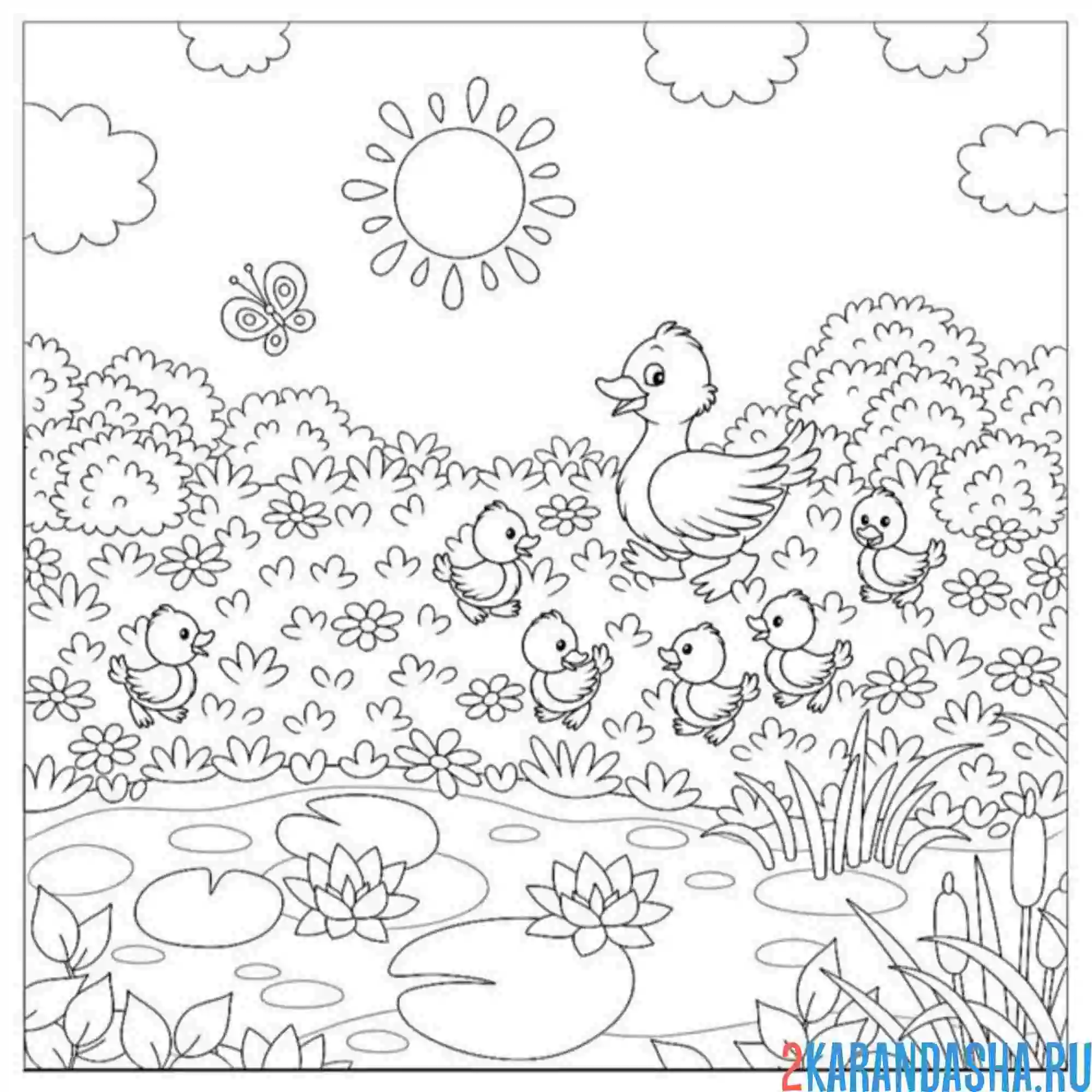 Раскраска утки в дикой природе