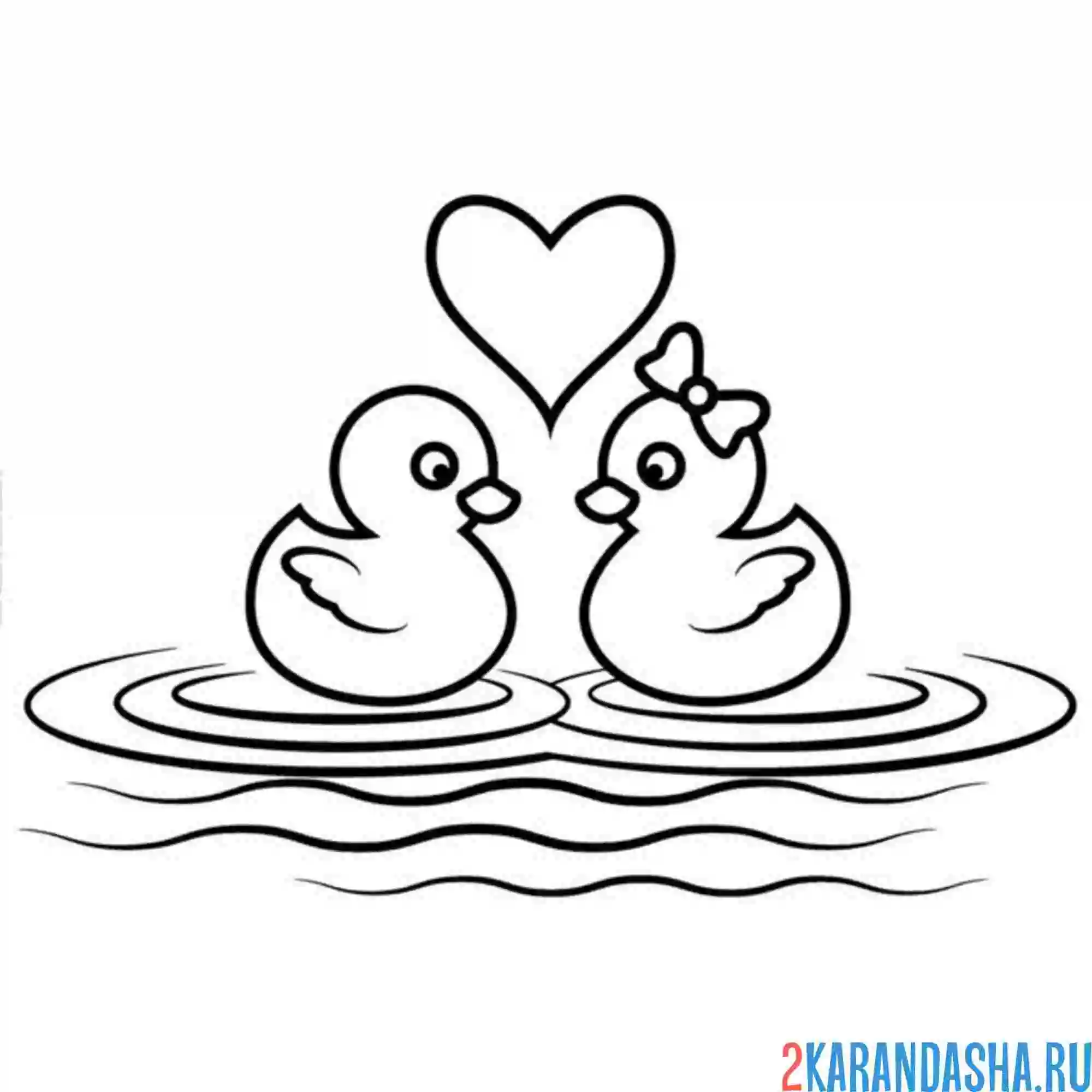 Раскраска утиная любовь