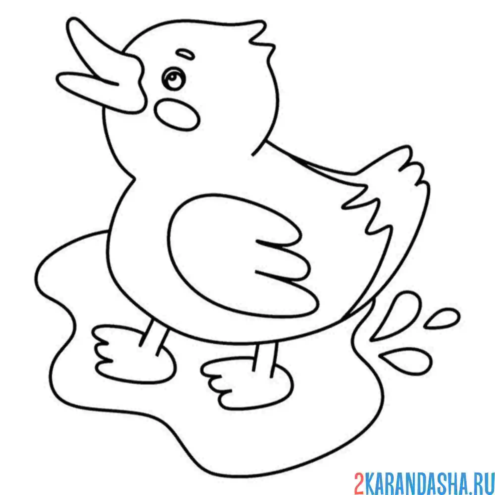 Раскраска утка зовет