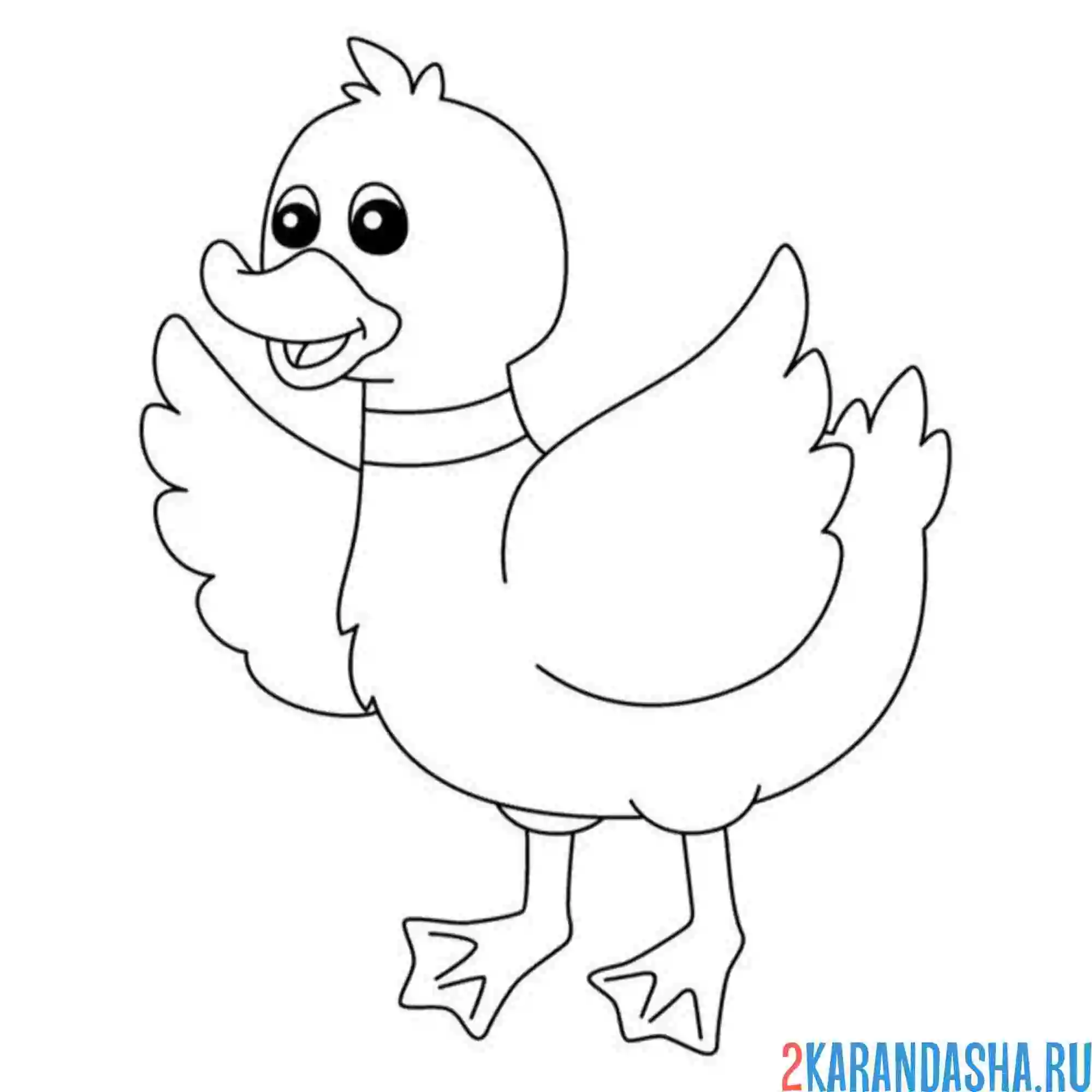 Раскраска утка в полете