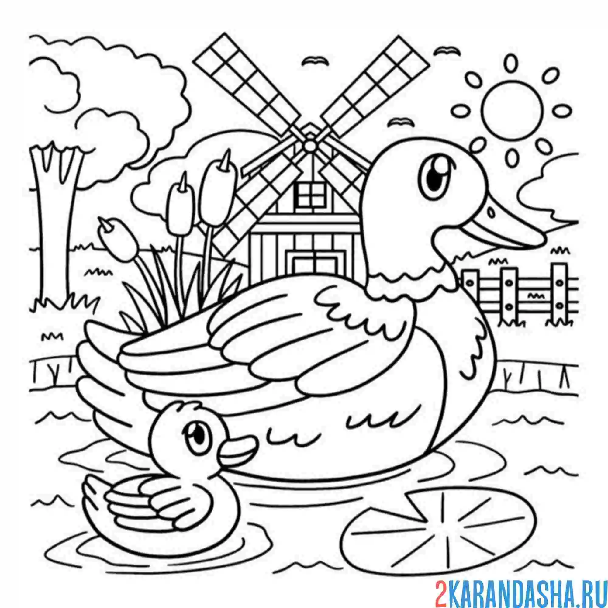 Раскраска мама утка и малыш