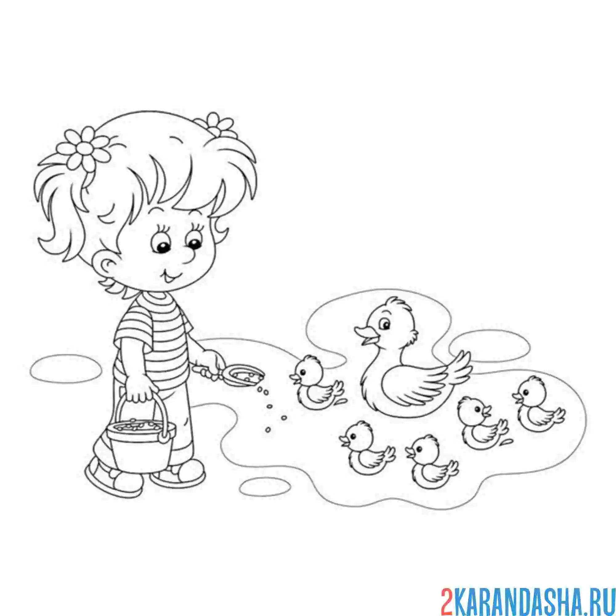 Раскраска девочка кормит утят