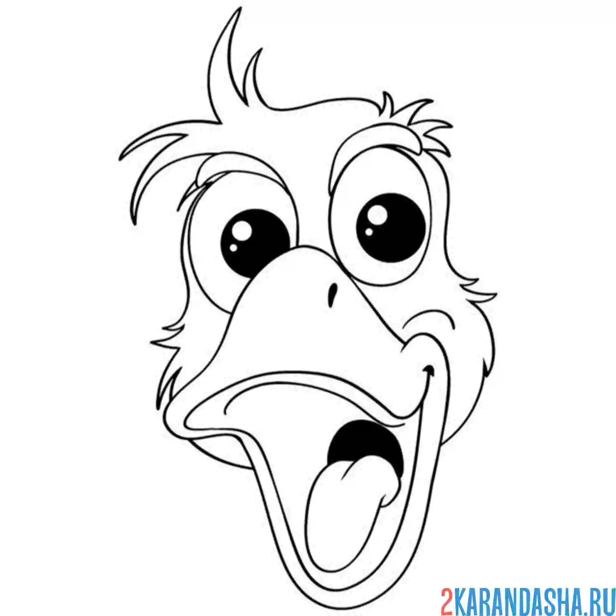 Раскраска голова утки