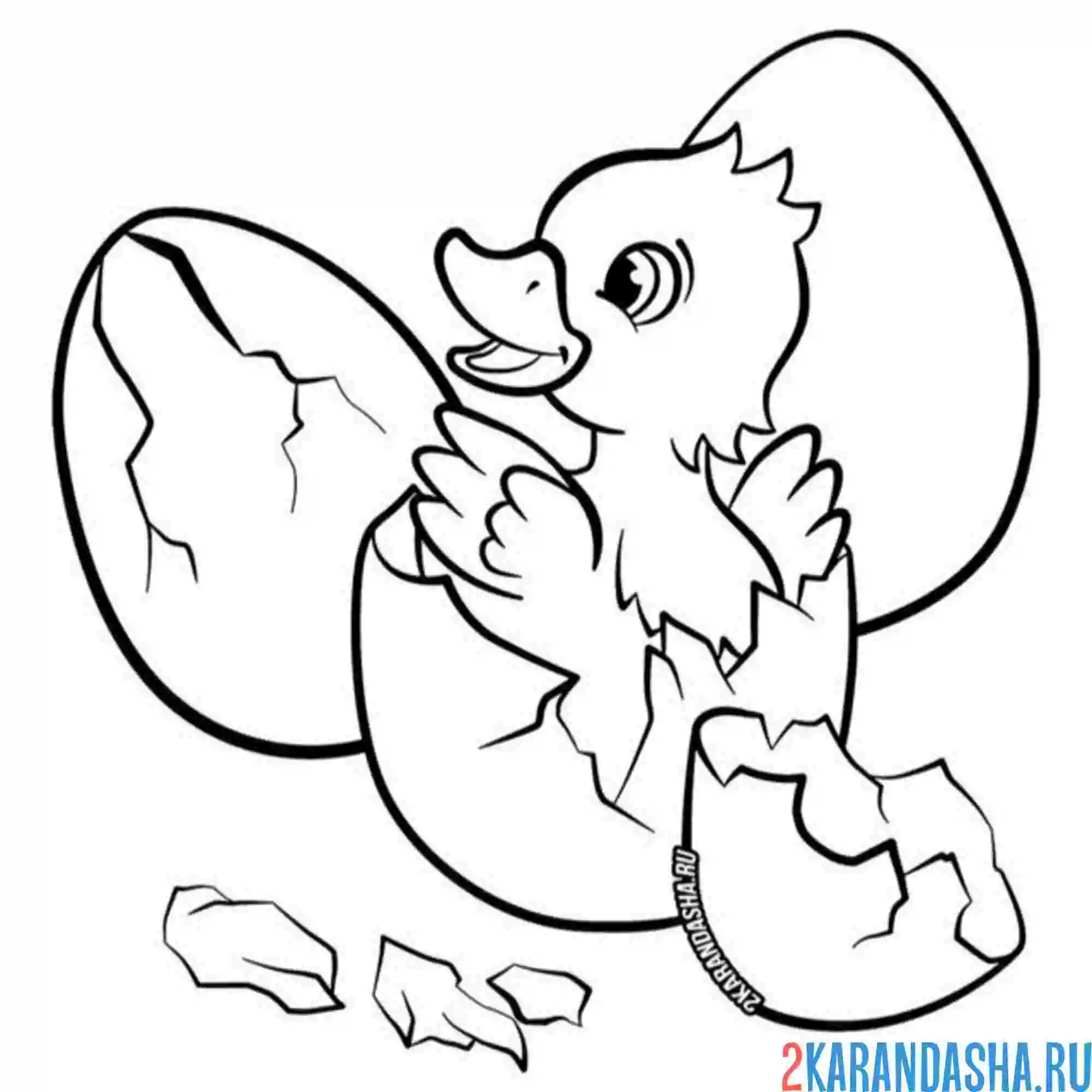 Раскраска утенок вылупился из ййца