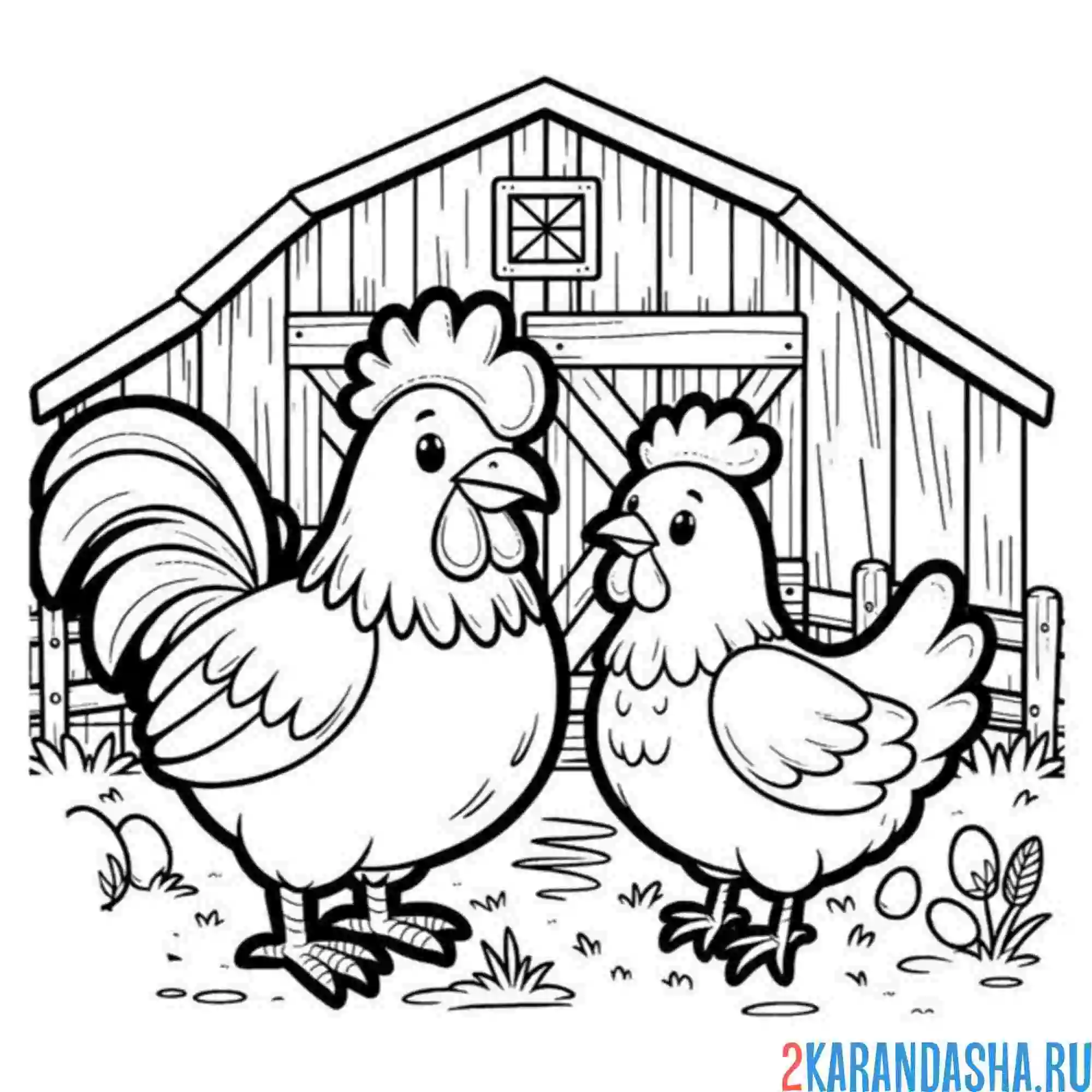 Раскраска курица и петух