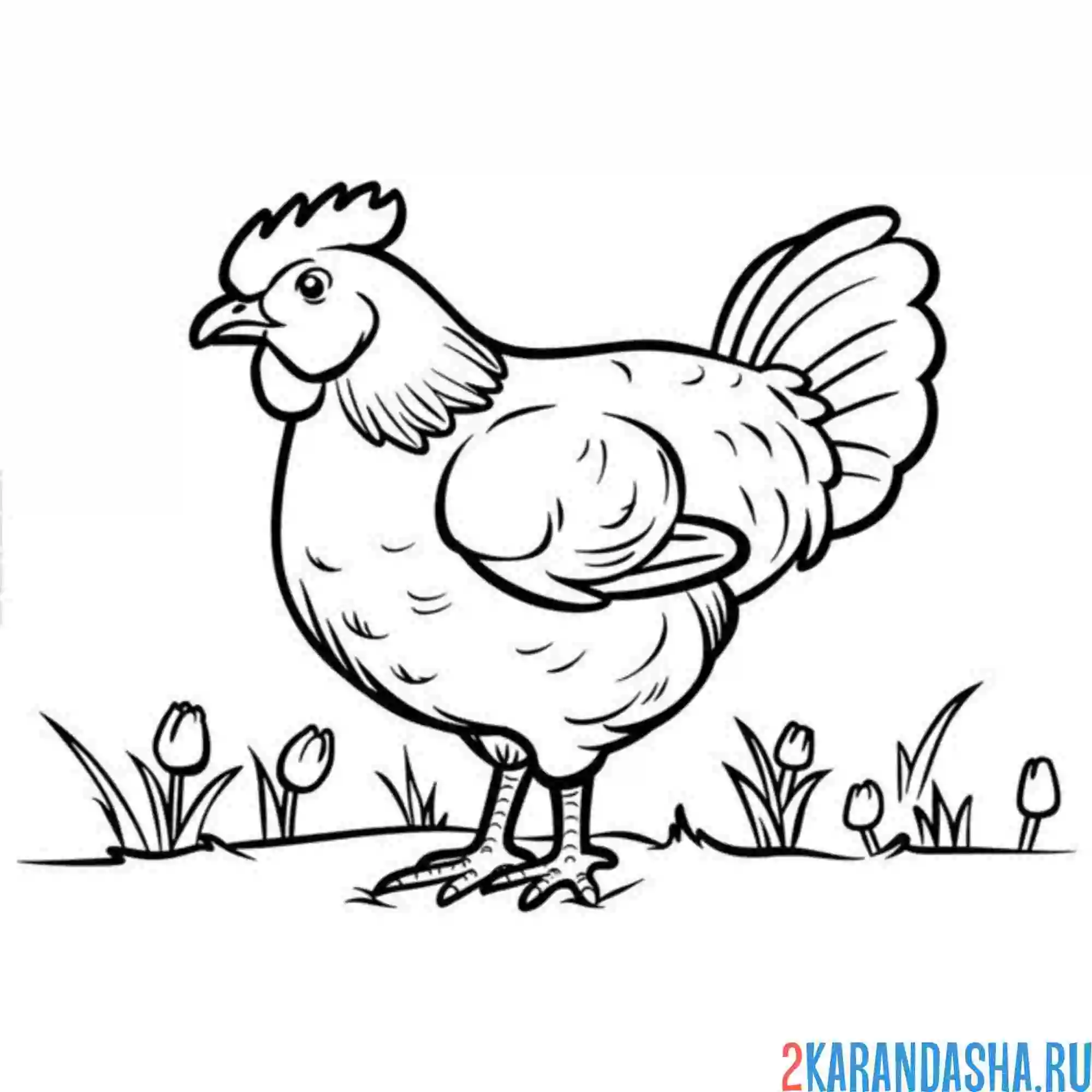 Раскраска курица как живая