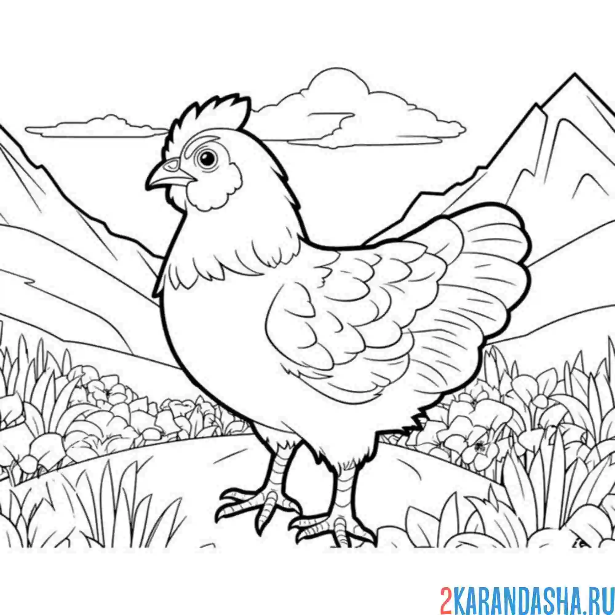 Раскраска курица в горах