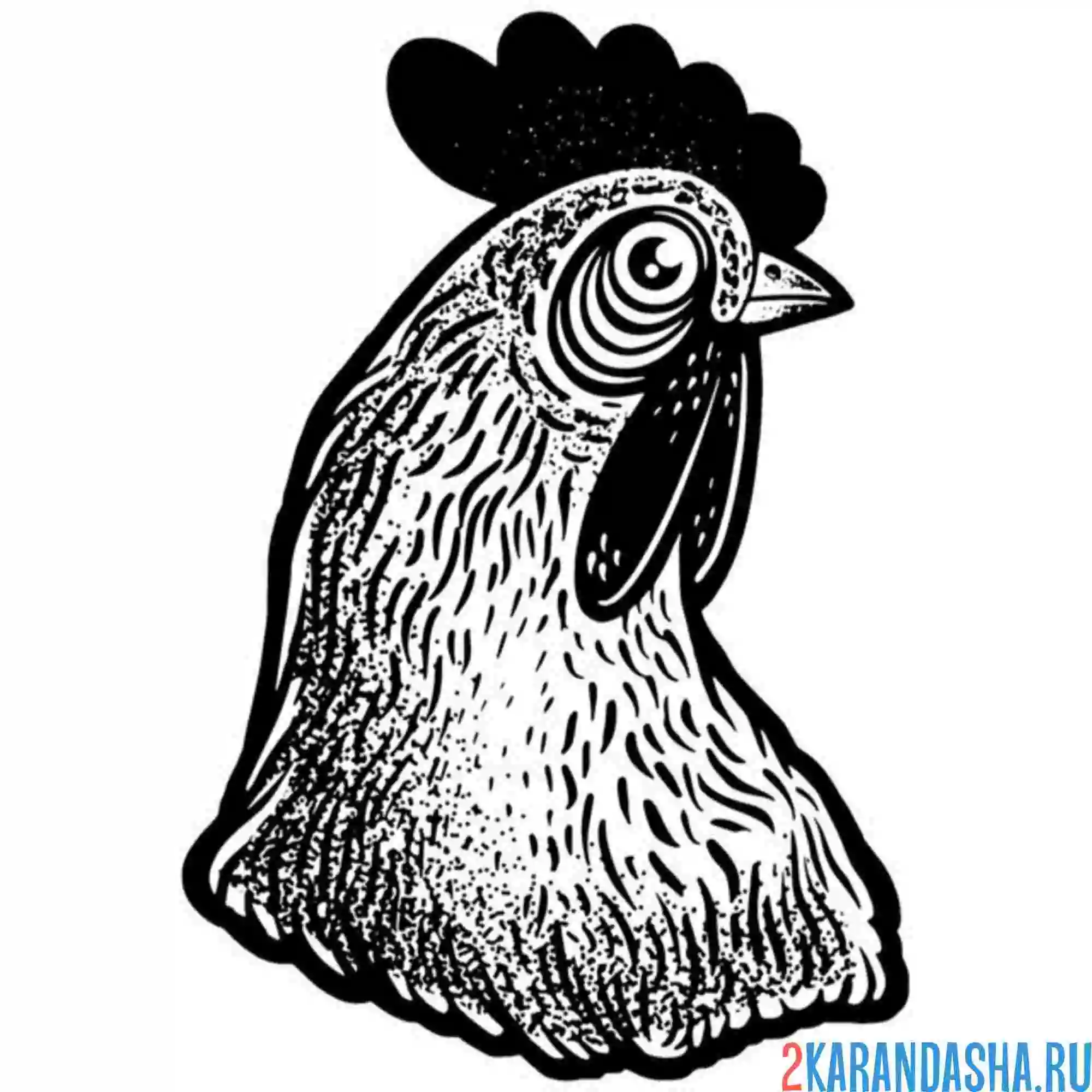 Раскраска голова курицы