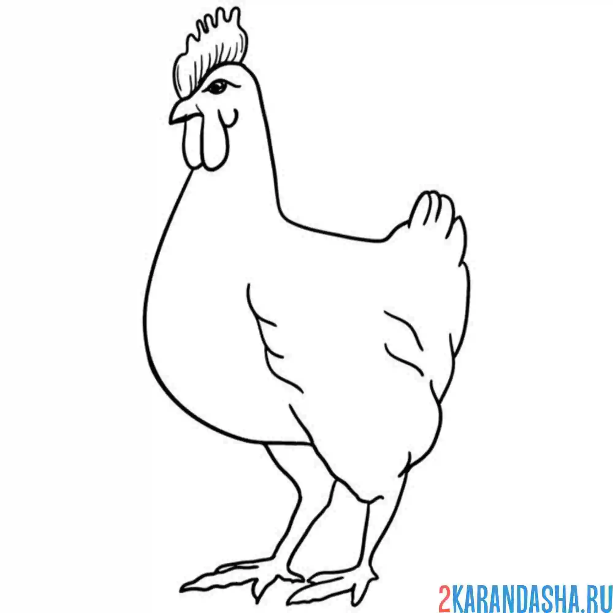 Раскраска курица стройняшка