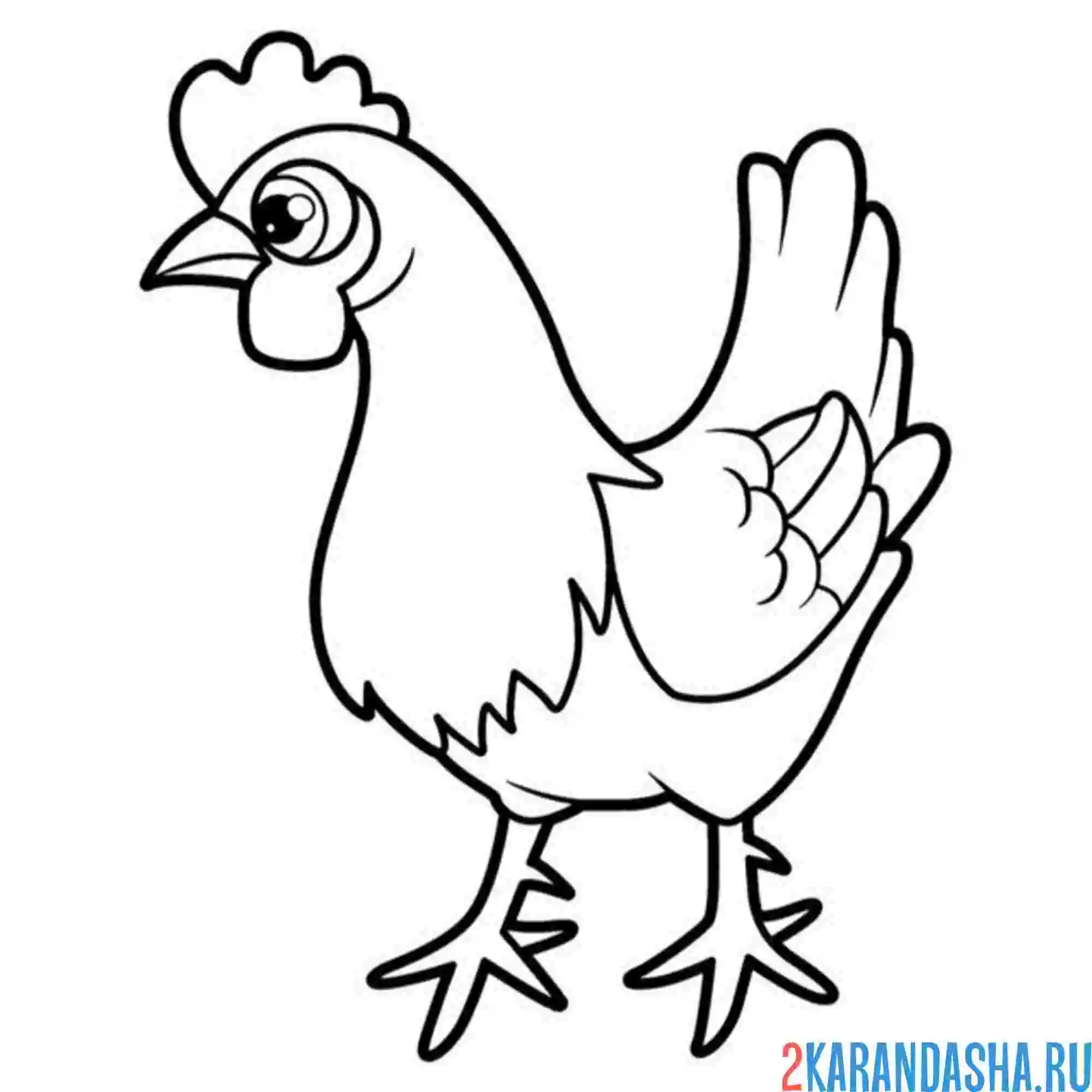 Раскраска курица домашняя