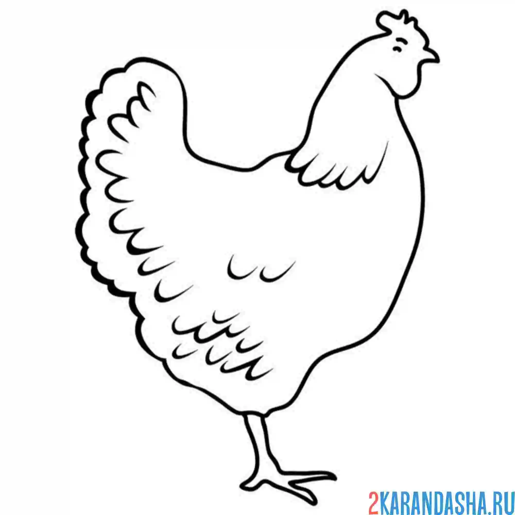 Раскраска курица контур