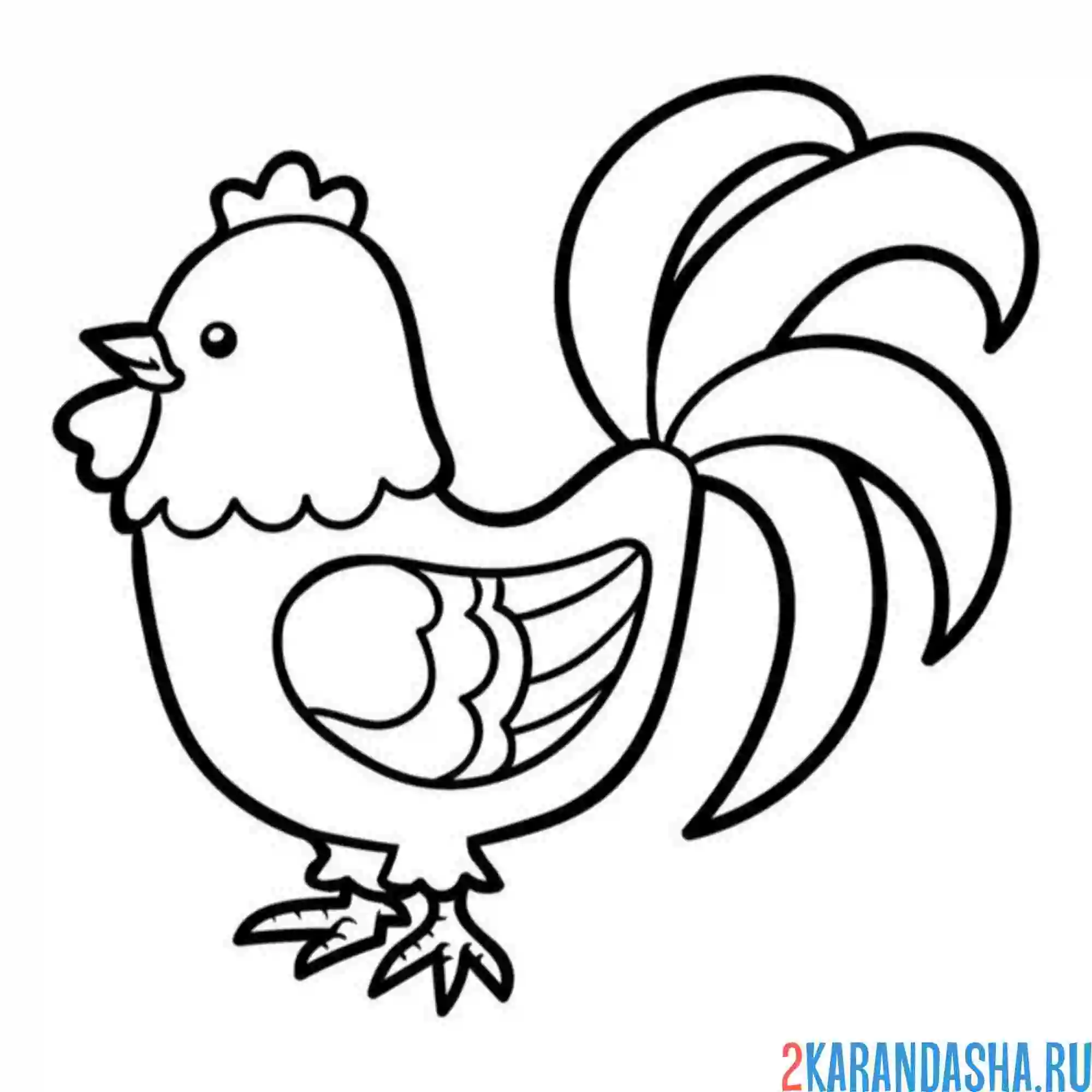 Раскраска петушок петух