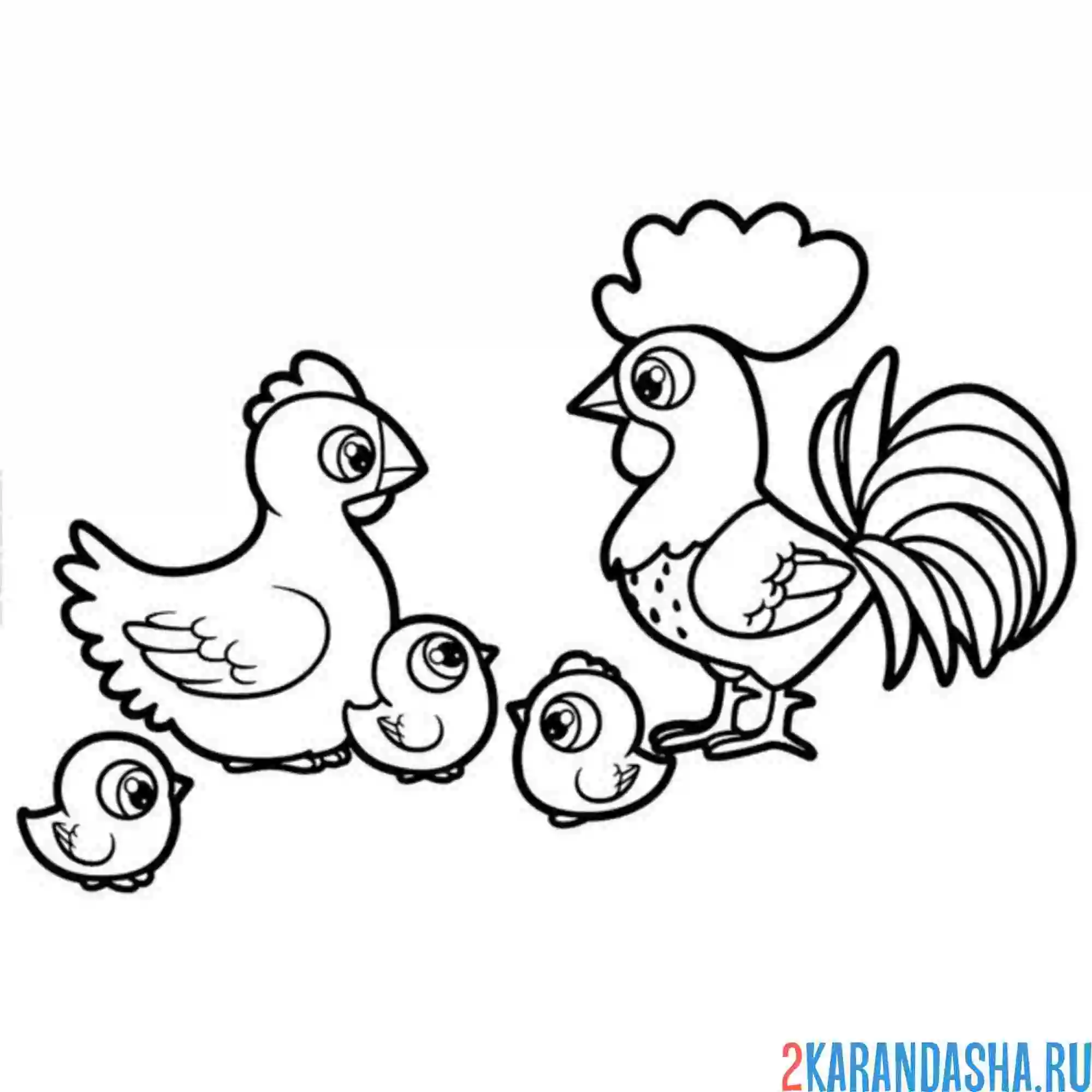 Раскраска курица петух цыплята