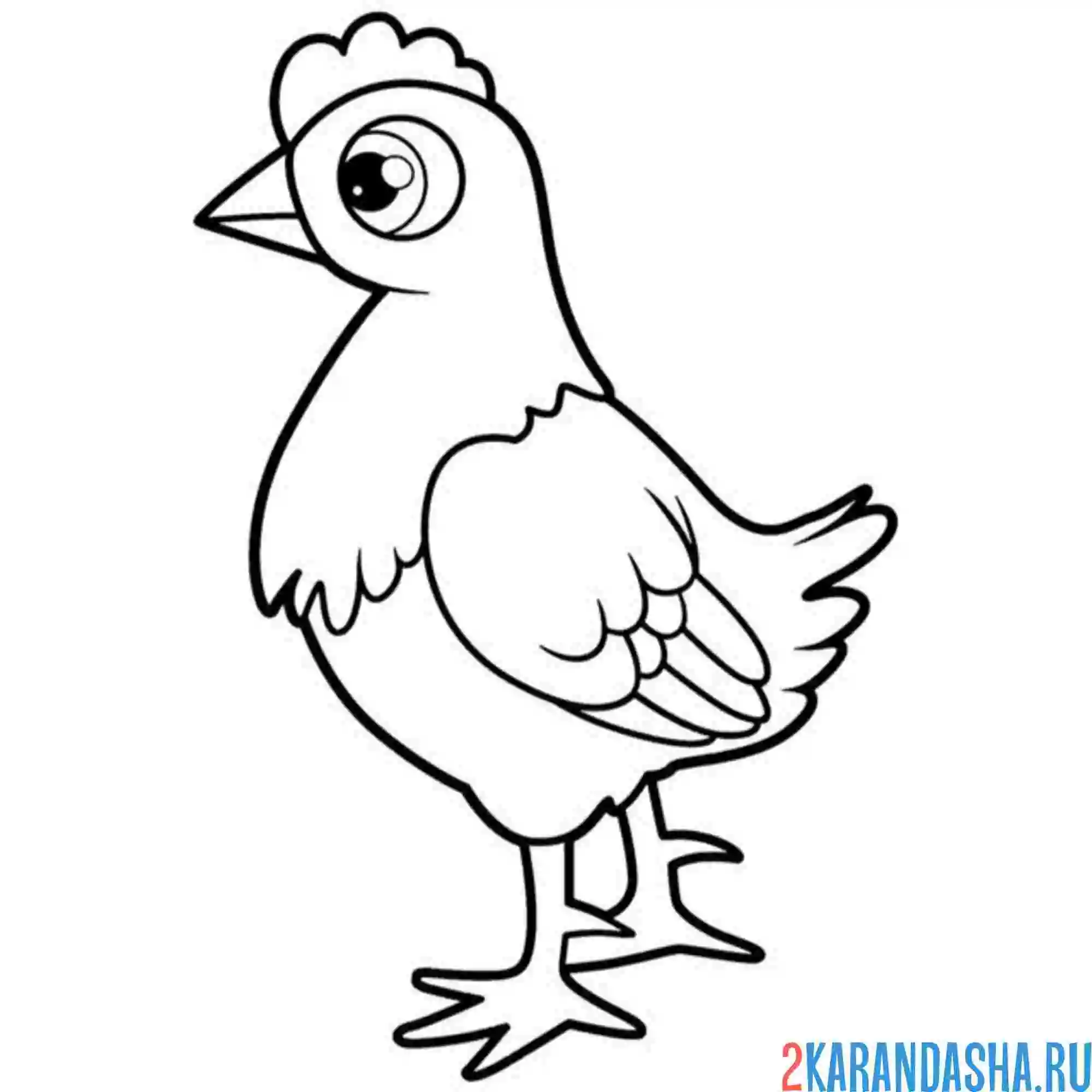 Раскраска курица что-то увидела
