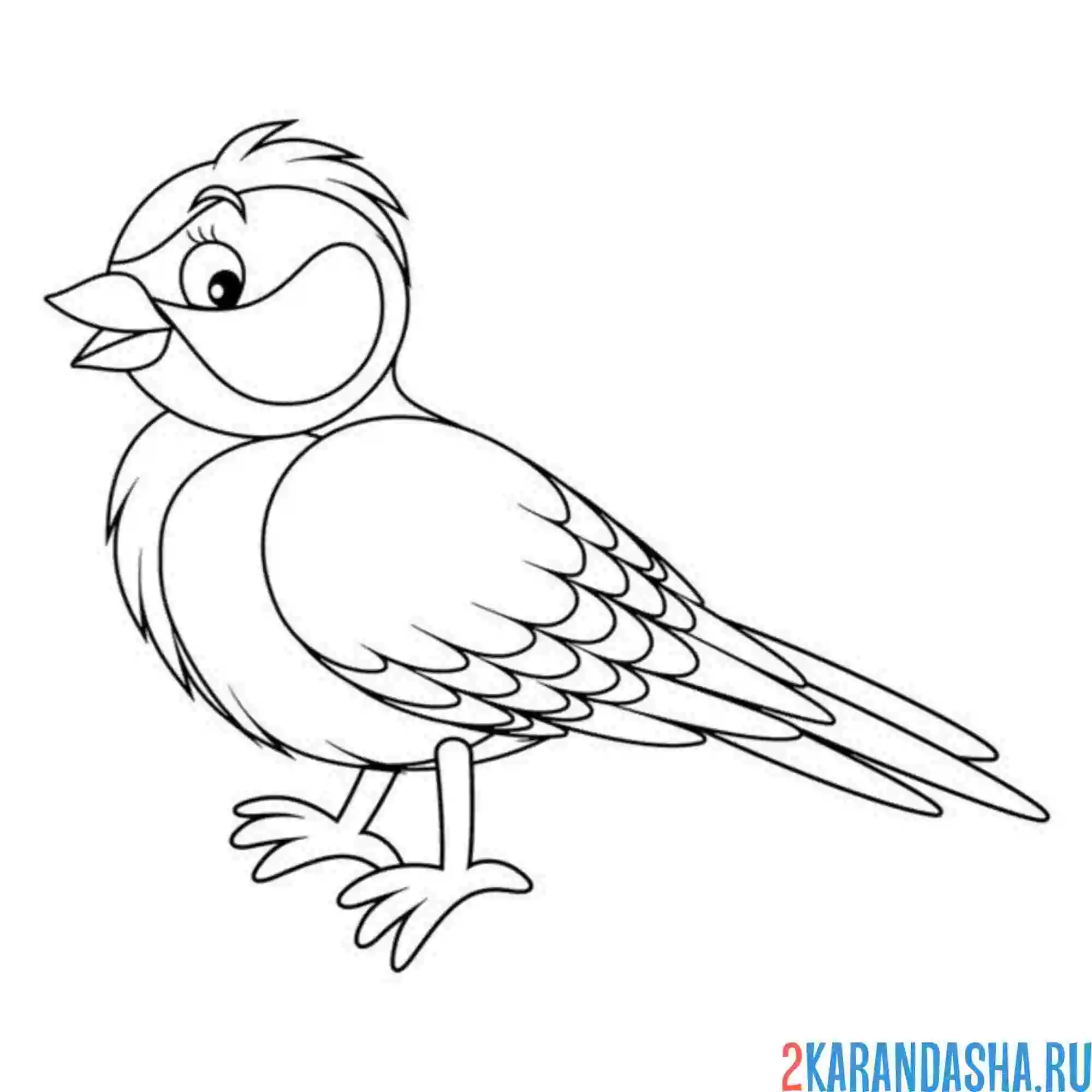 Раскраска птица перелетная