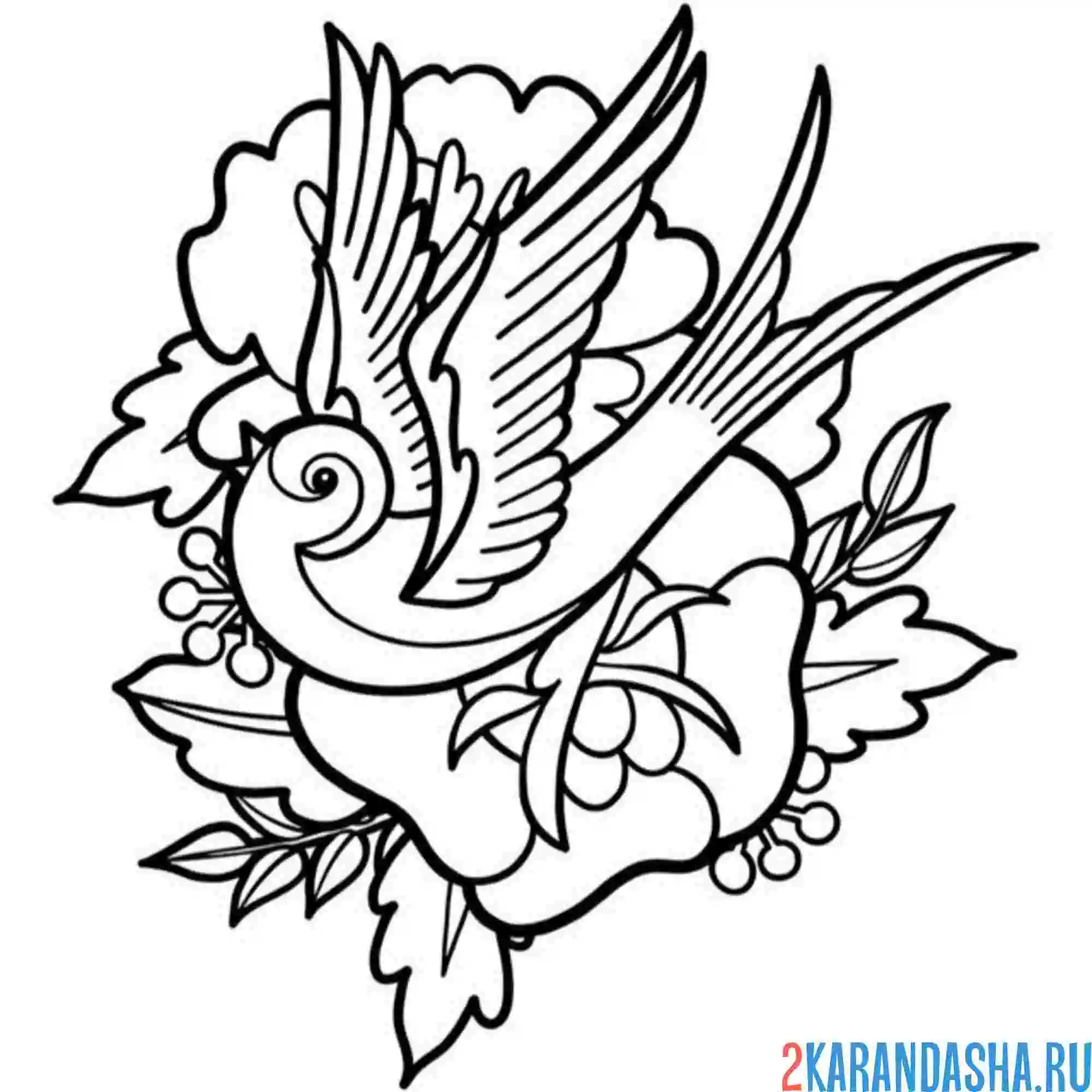 Раскраска ласточка птица