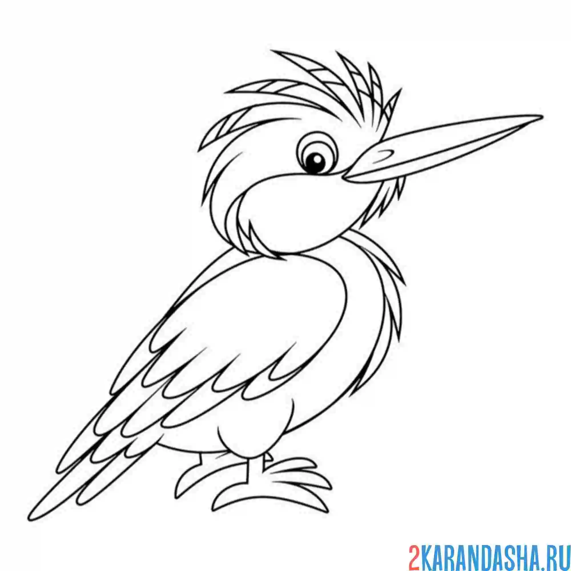 Раскраска птица зимородок