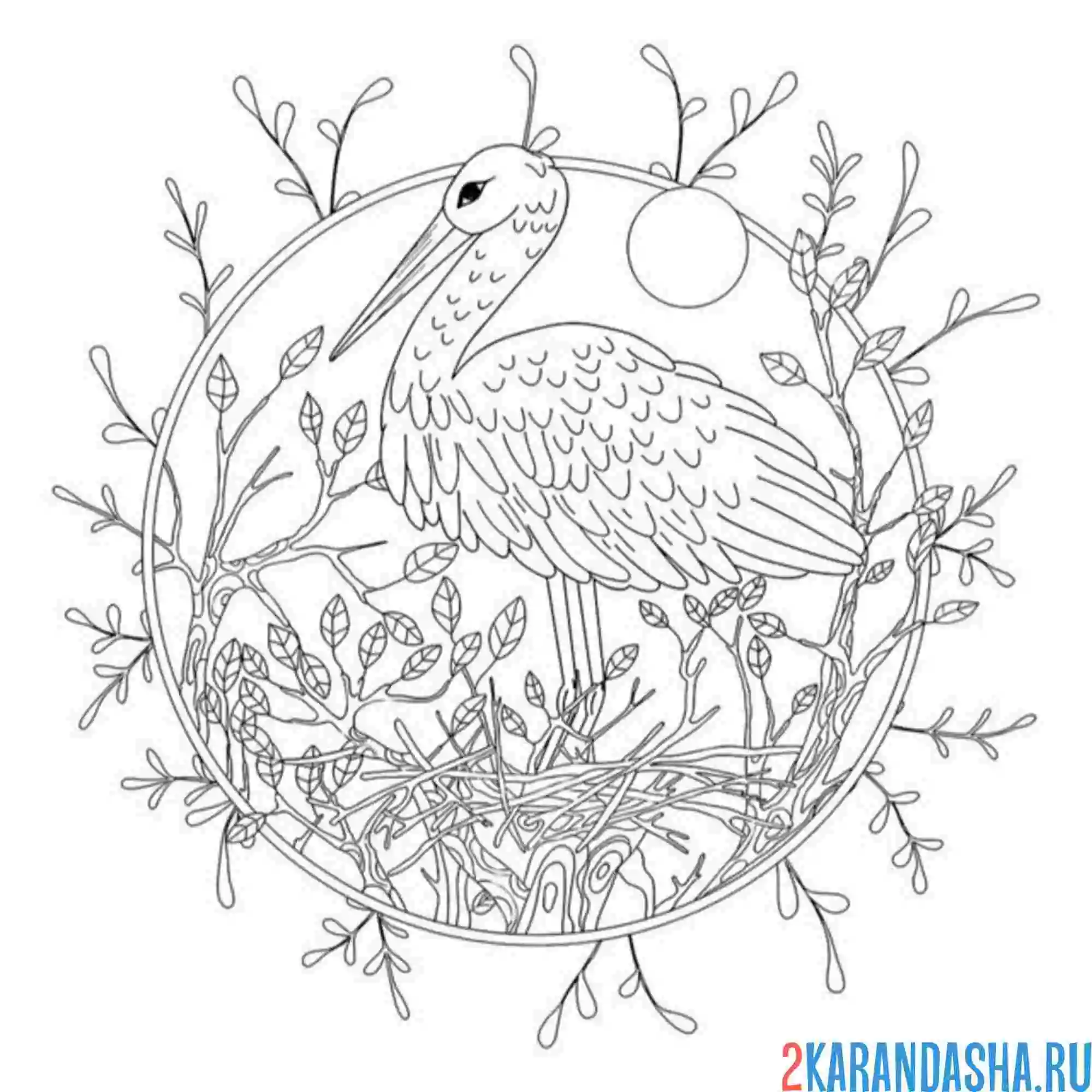 Раскраска аист свил гнездо