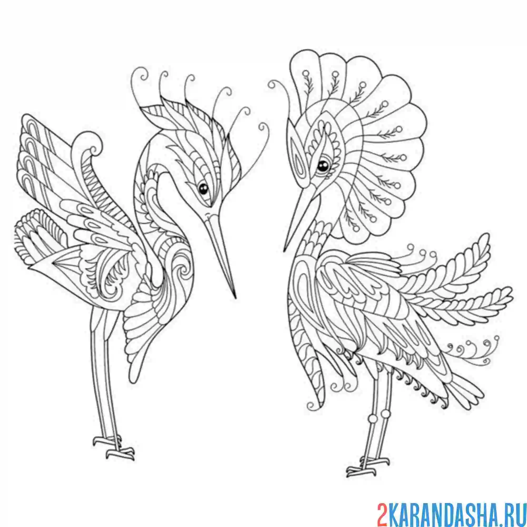 Раскраска танец аистов антистресс