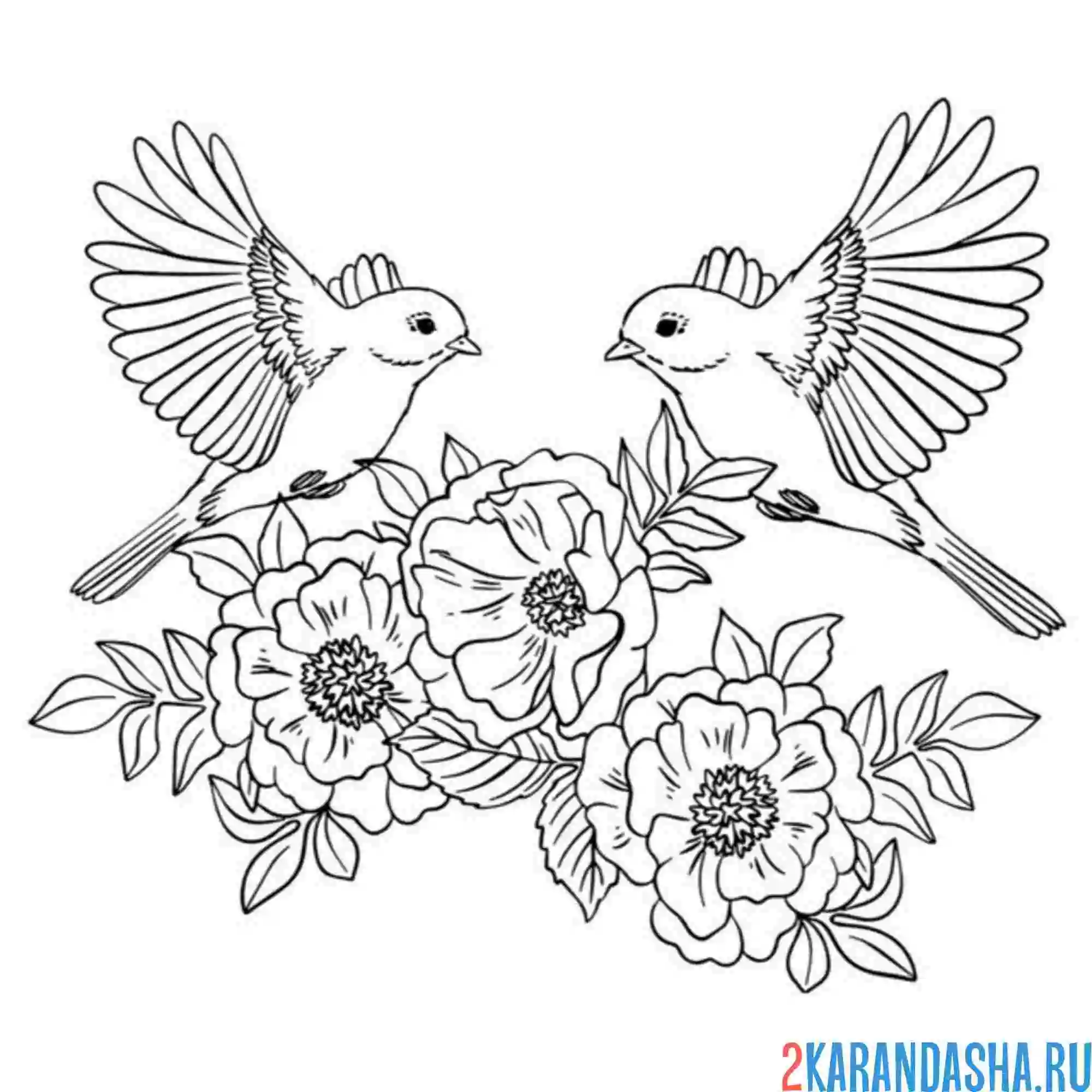 Раскраска птички на цветах