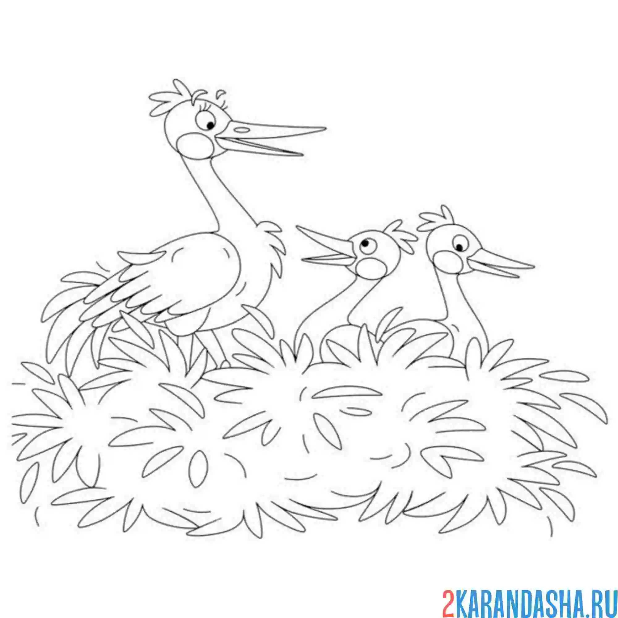Раскраска аист мама и птенцы