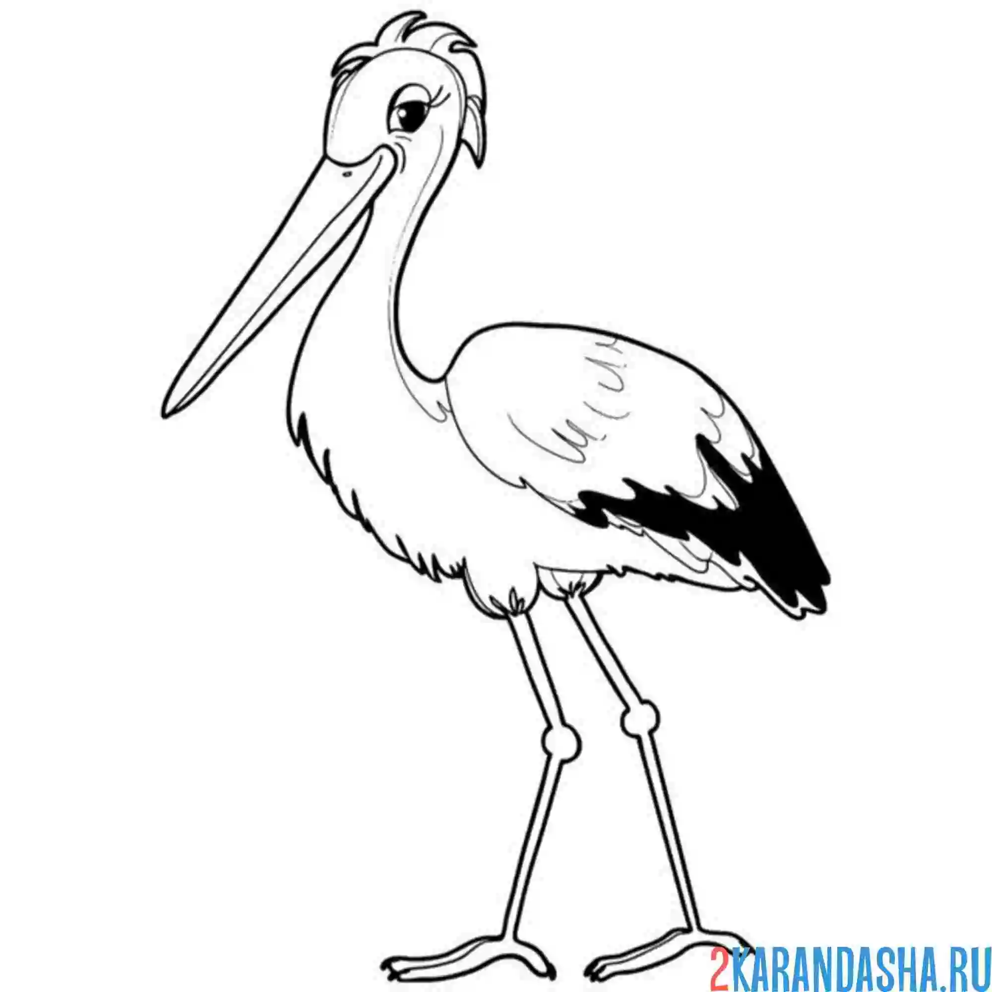 Раскраска аист стоит