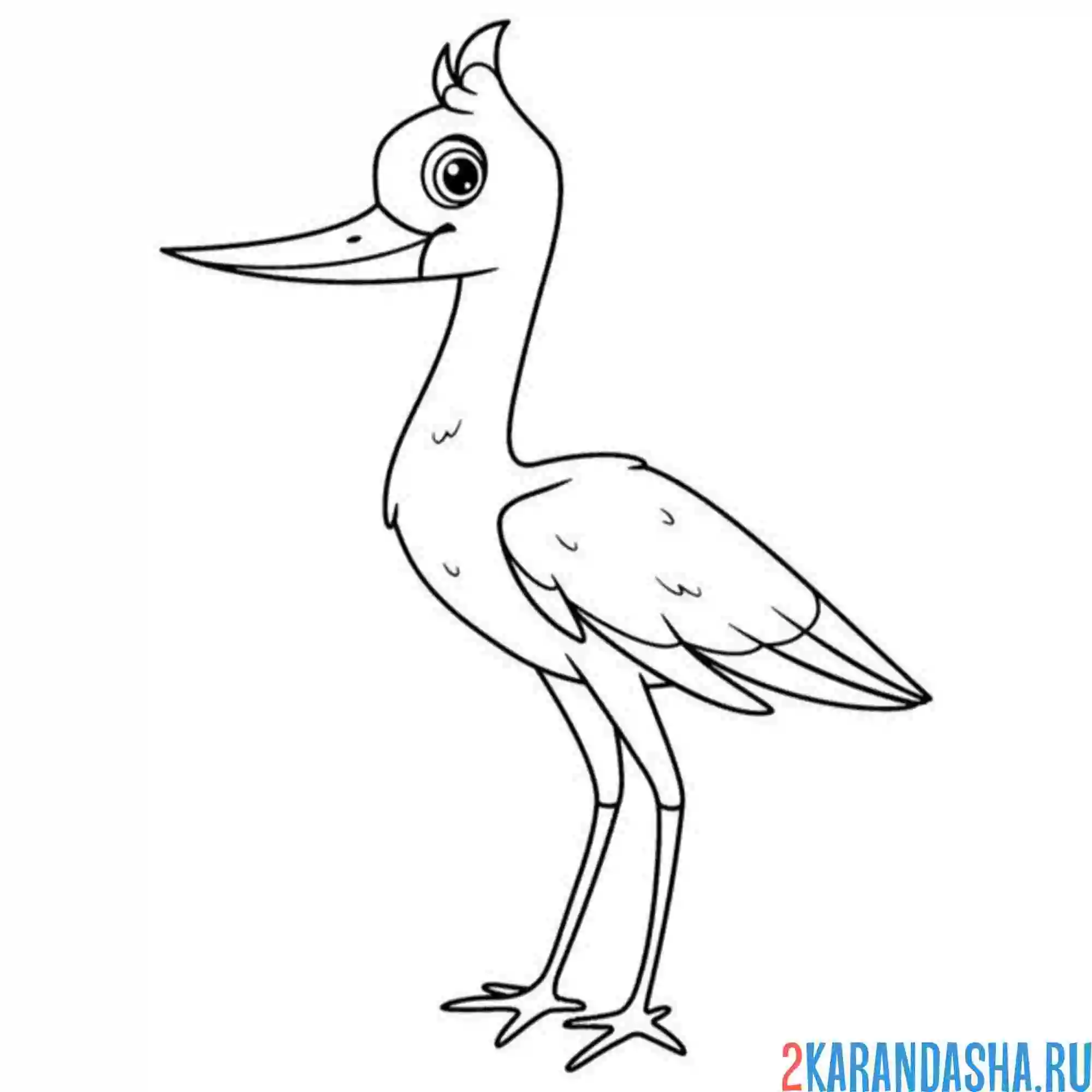 Раскраска улыбается аист